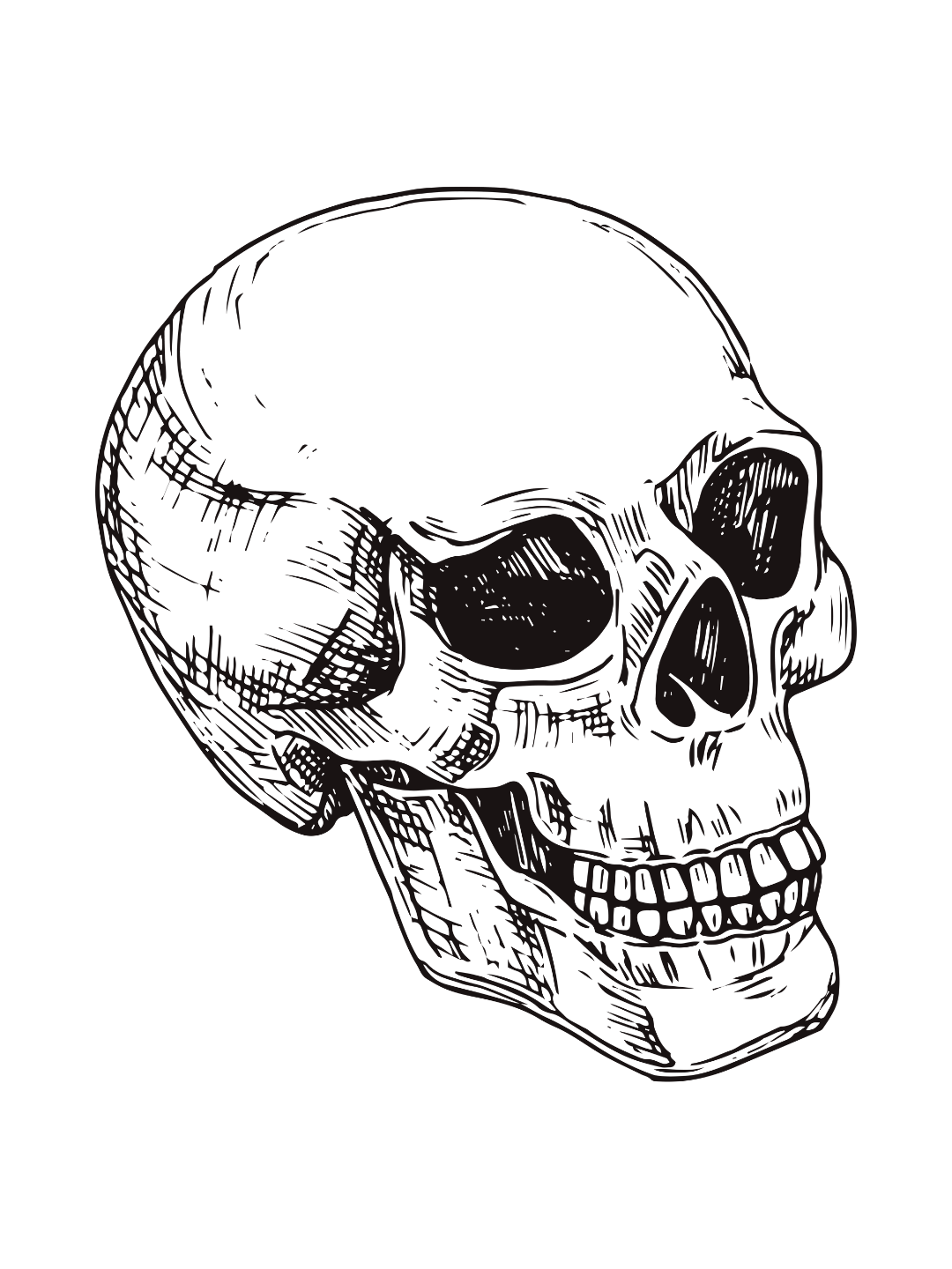 A dark, sketched illustration of a human skull on a black background.