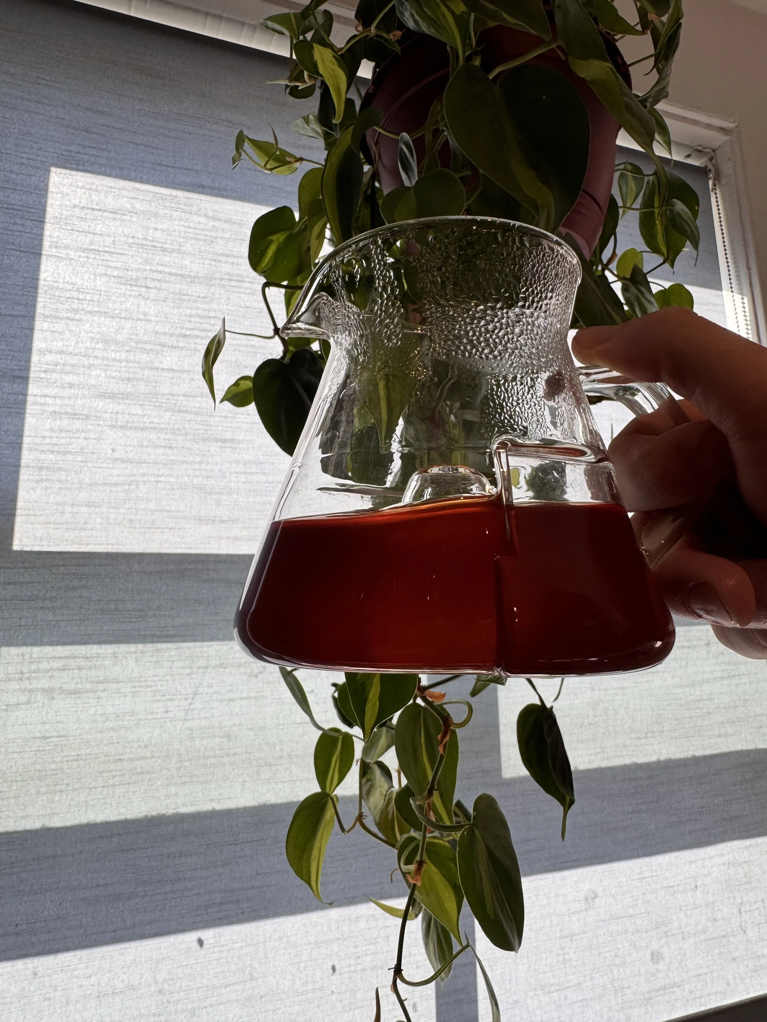 Cyclone Carafe by Icosa Brewhouse