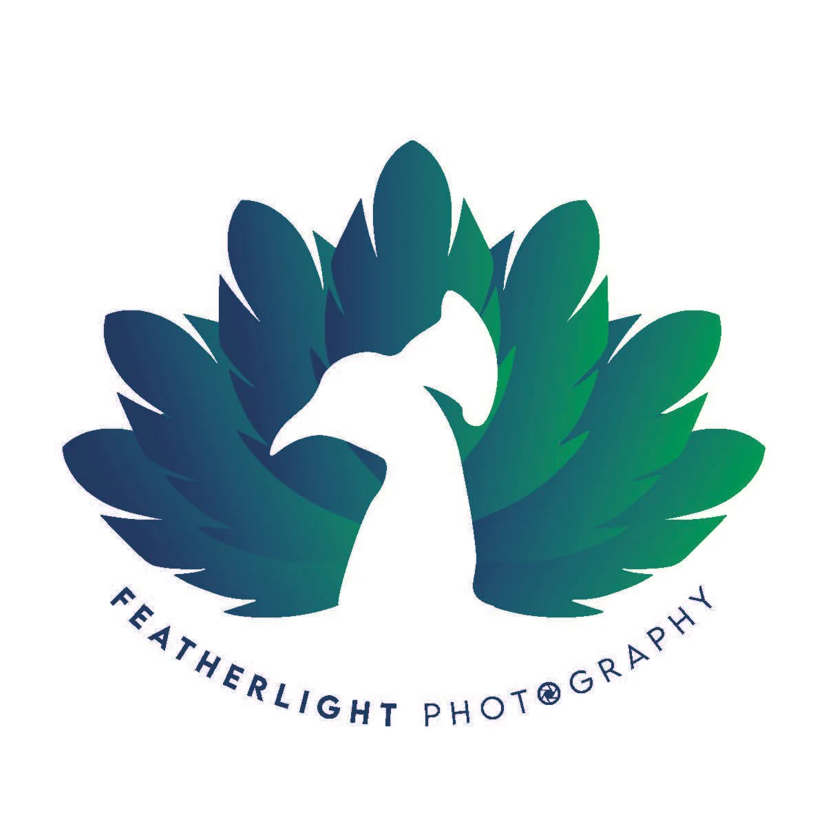 A logo featuring a white hawk in the center surrounded by stylized green and blue feathers, with the text 'FEATHERLIGHT PHOTOGRAPHY' curved below.