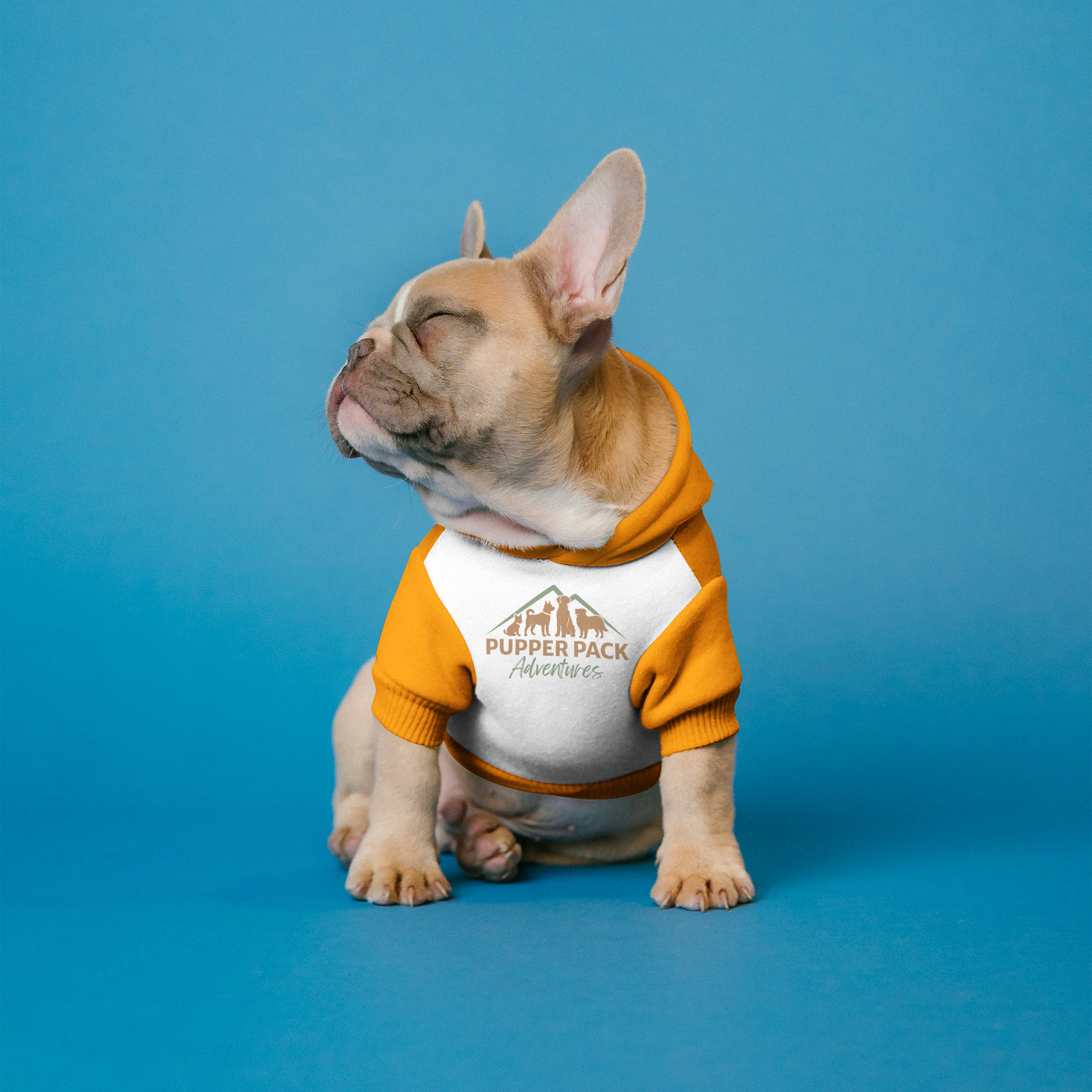 A French Bulldog puppy with closed eyes, wearing an orange hoodie with a white front and a logo that says 'Puppy Pack Adventures,' standing against a blue background.