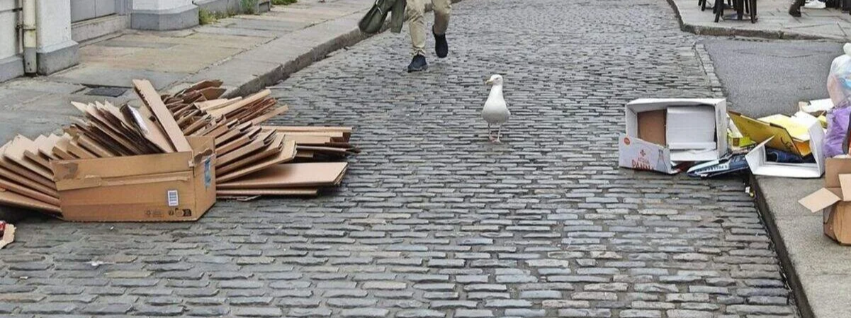 Illegal dumping in Dublin