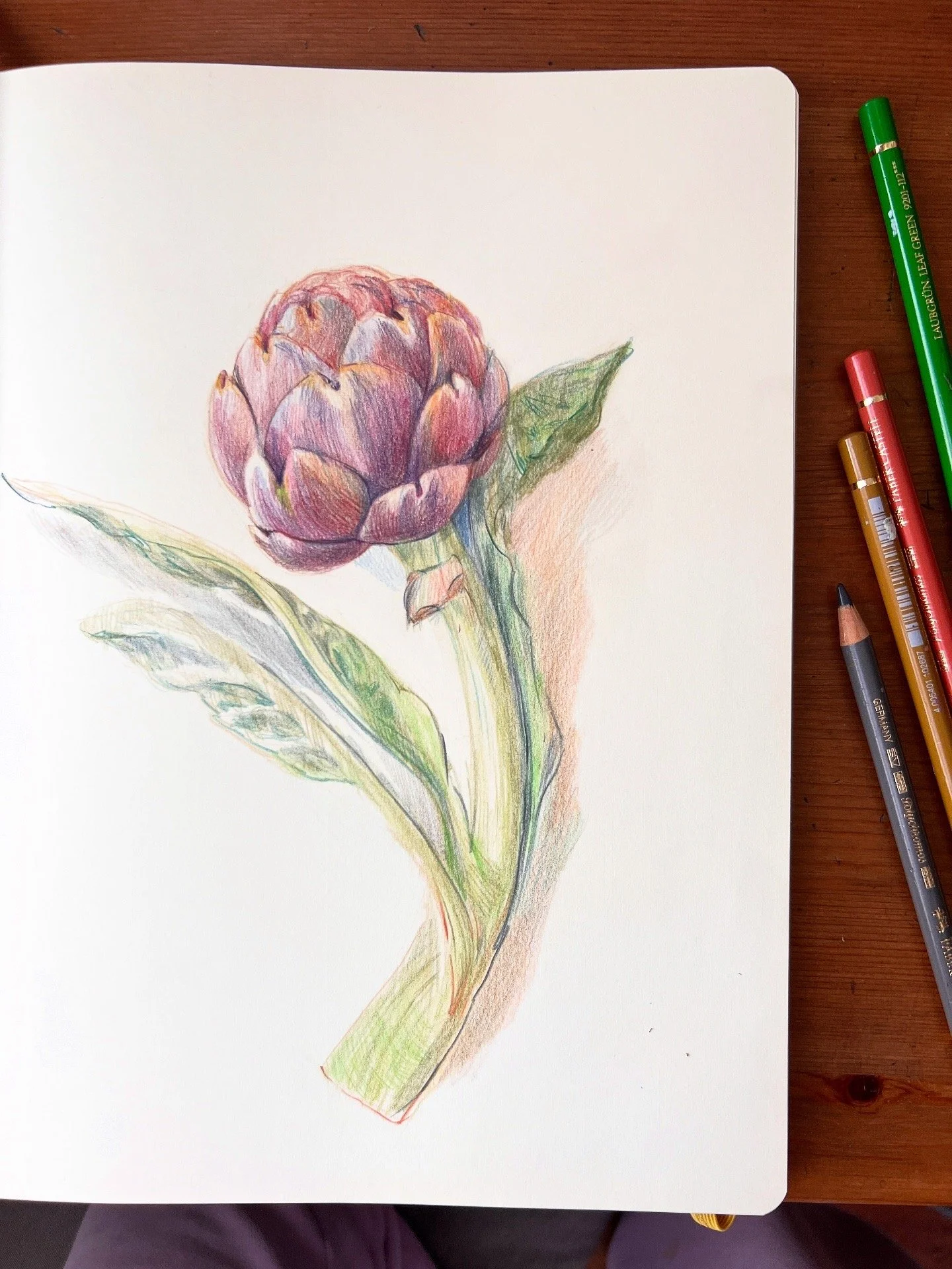 Colorful pencil sketch of an artichoke with leaves on white paper, surrounded by colored pencils on a wooden table.