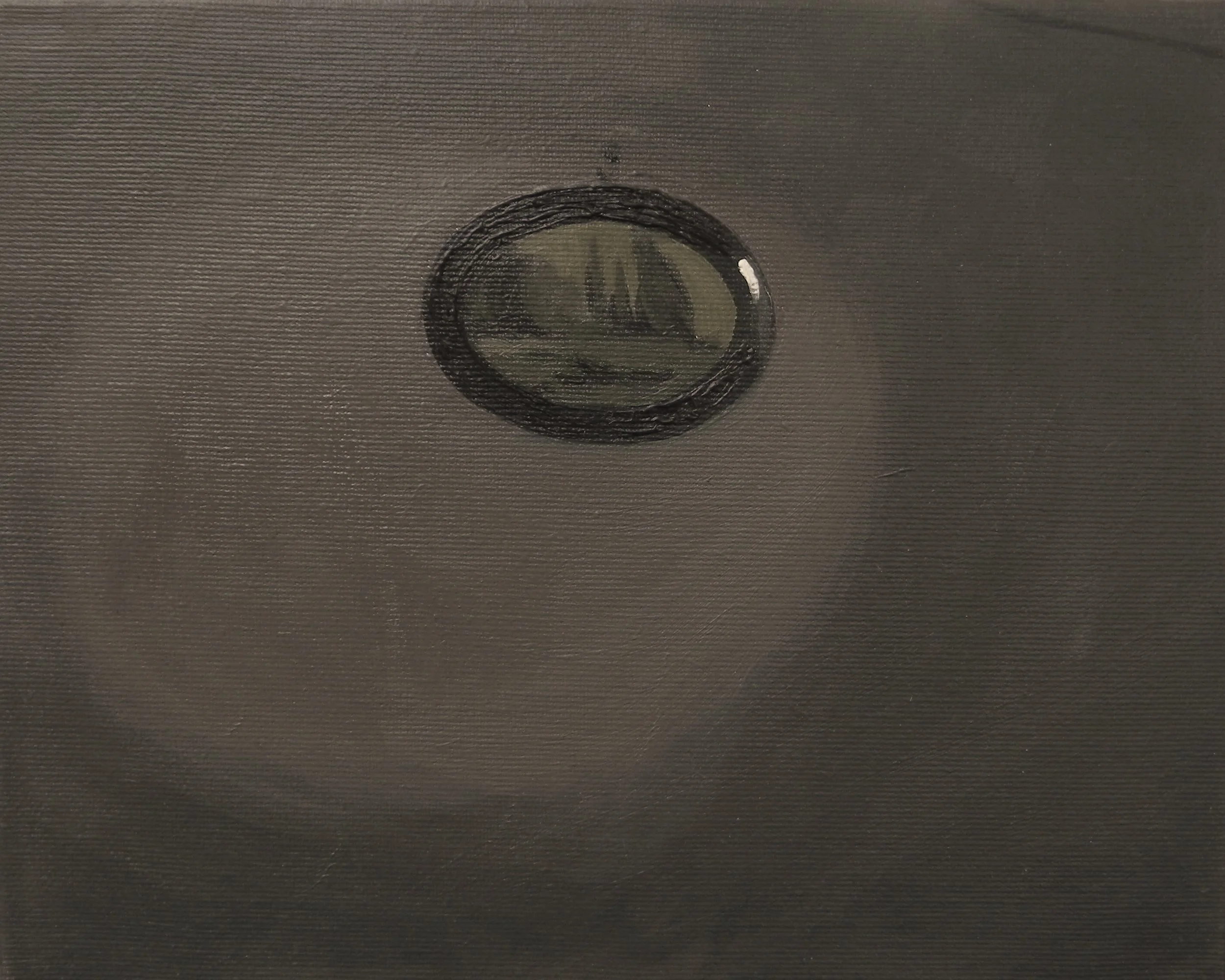 Close-up of a ceiling with a round, black and white light fixture.