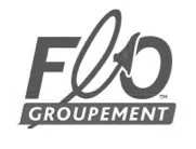 groupe Flo a fait une Fresque de l'IA