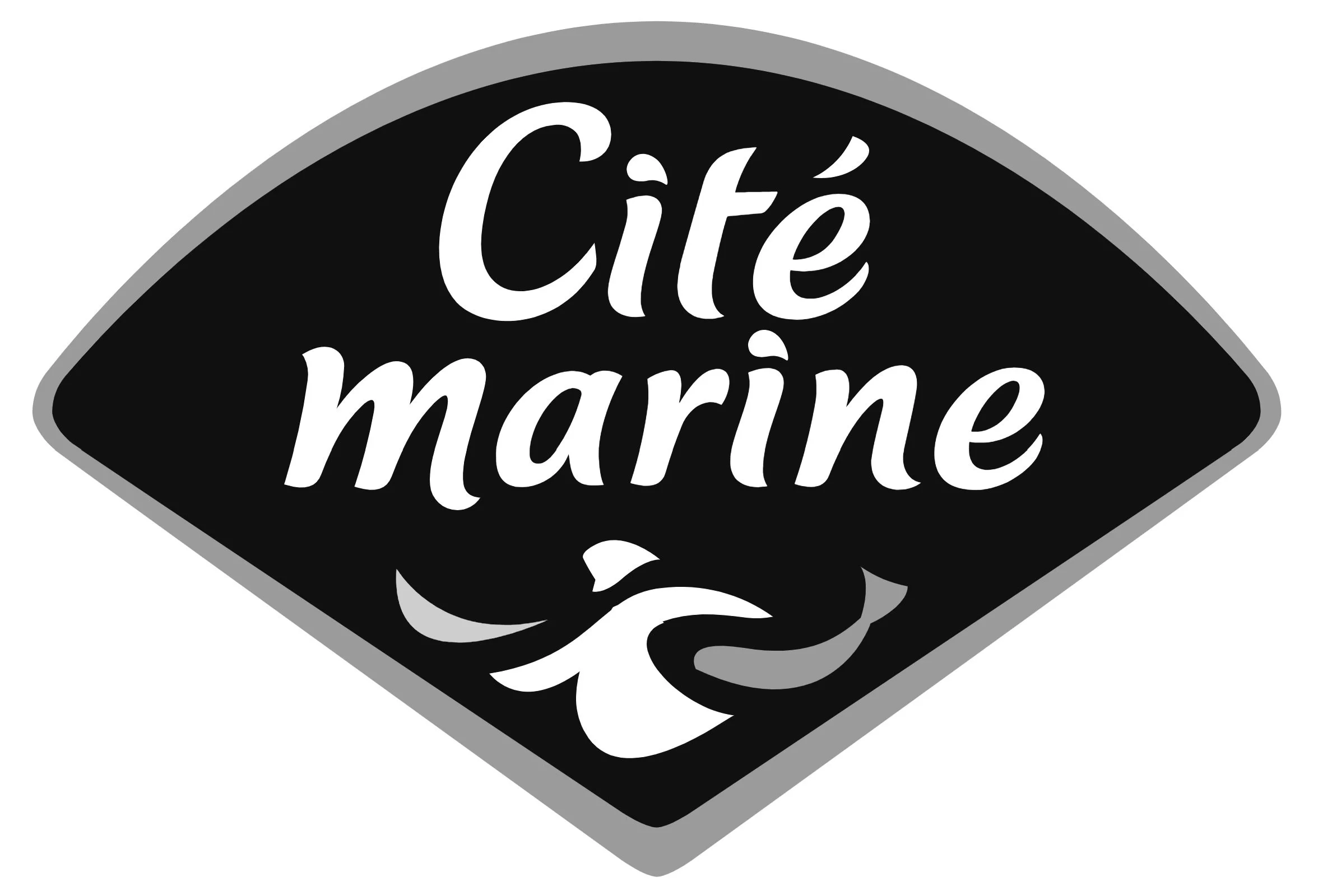 Cité marine a fait une Fresque de l'IA