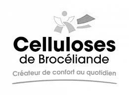 Celluloses de Brocéliande a fait une Fresque de l'IA