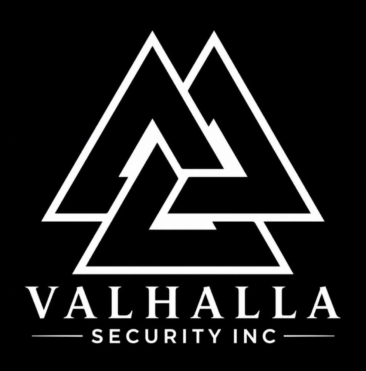 Valhalla Security