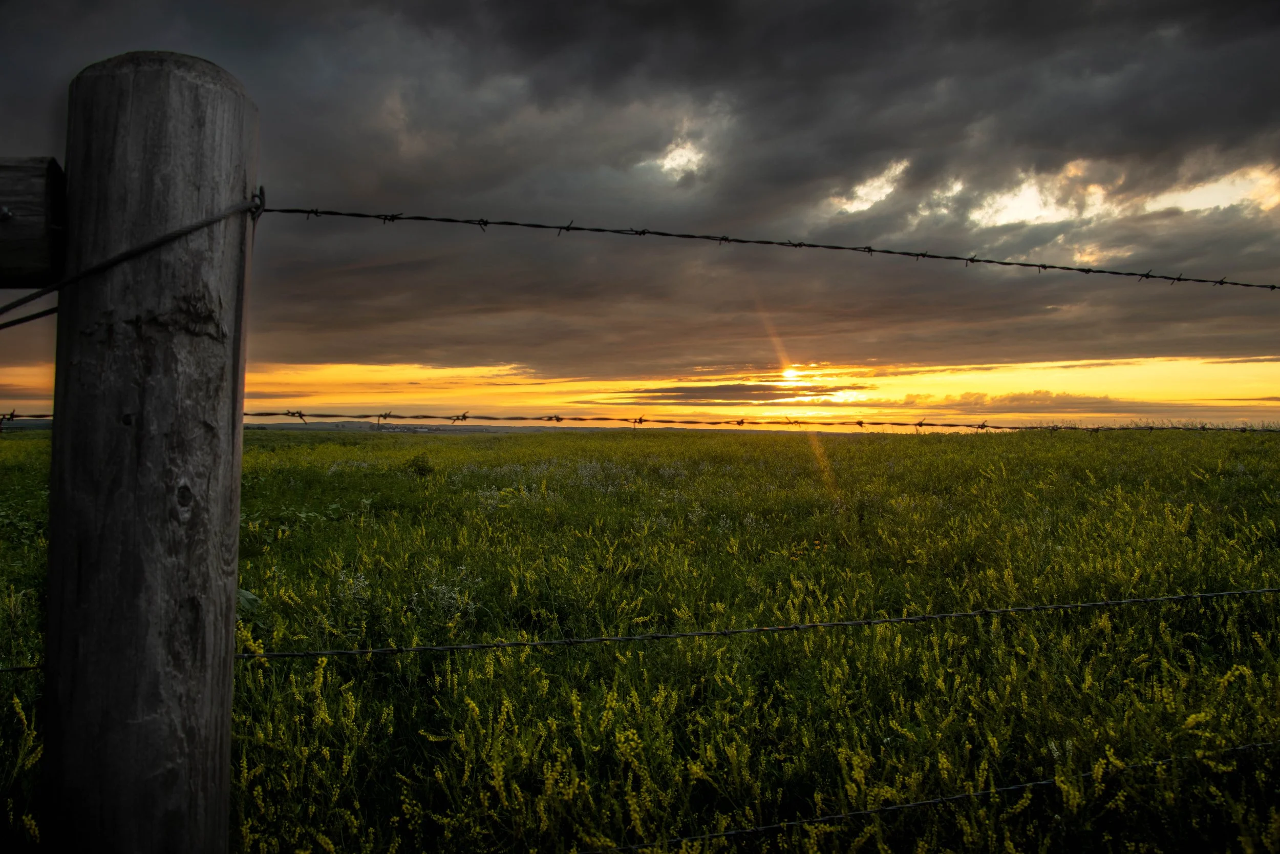 sunset at schlecht farms (1 of 1).jpg