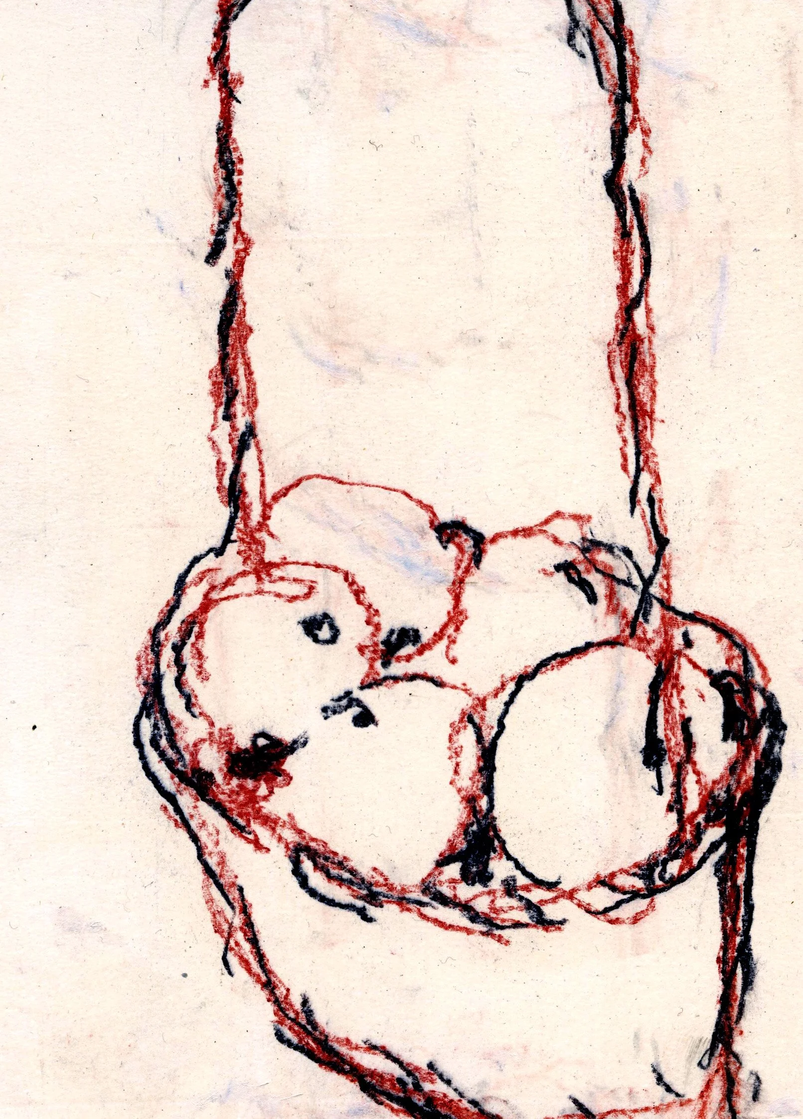 Fruit, 2024, 15x21cm