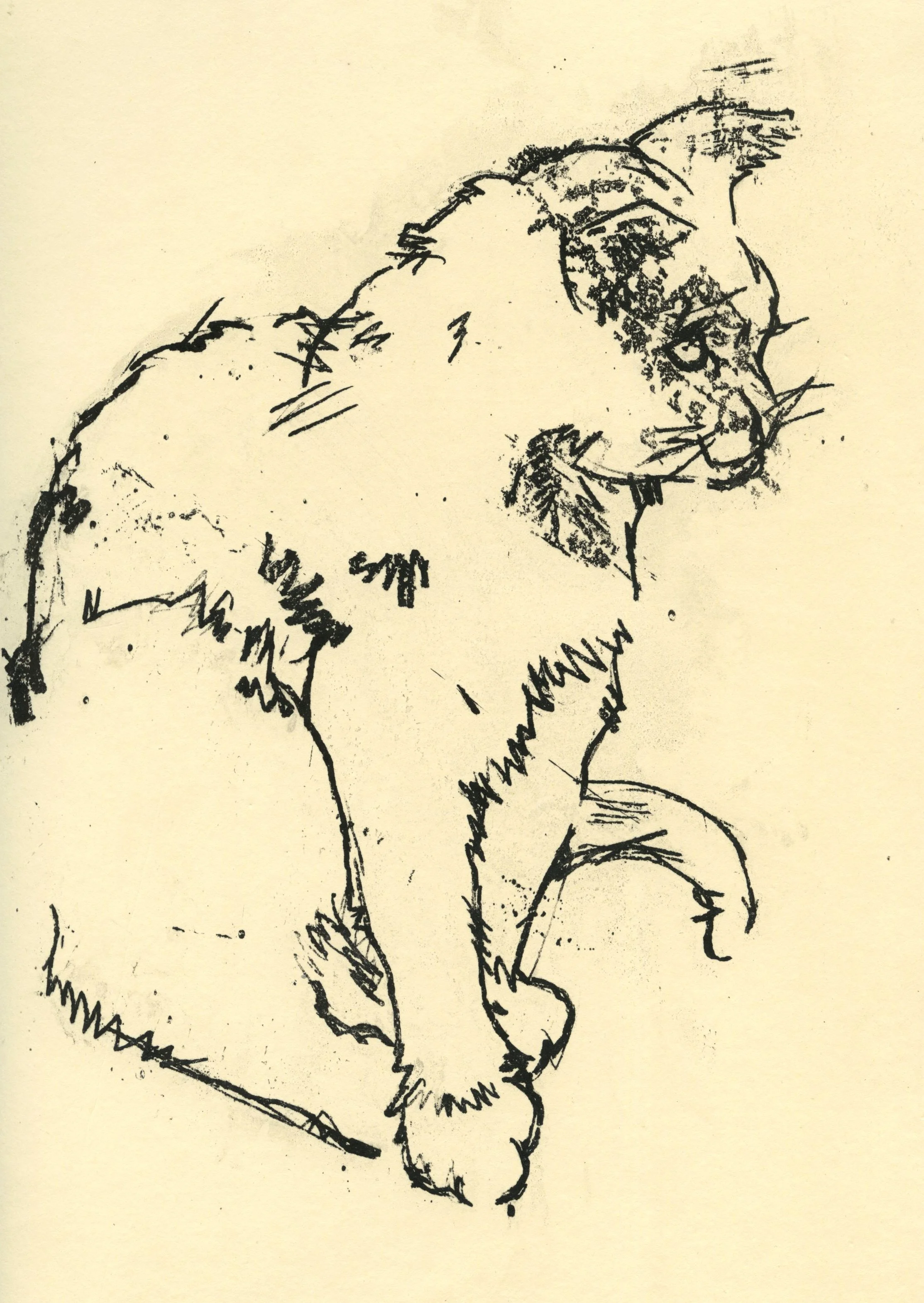 Puss, 2024, 21x30cm