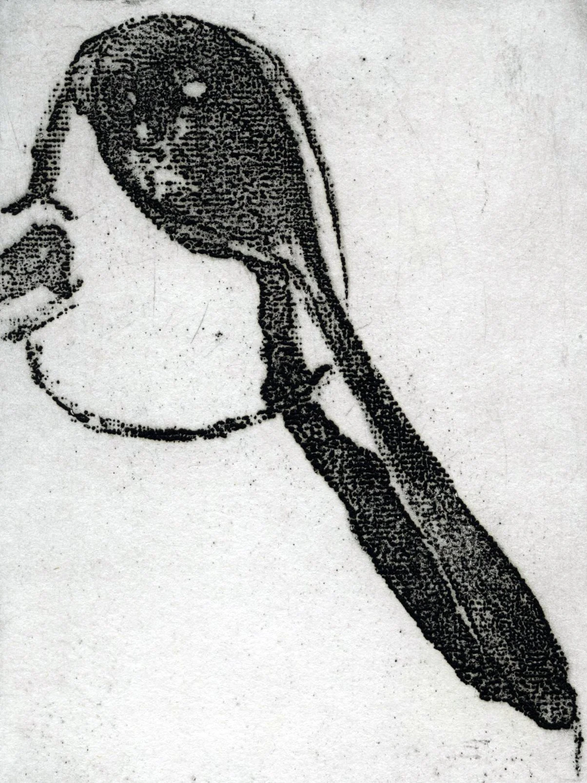 img363.jpg
