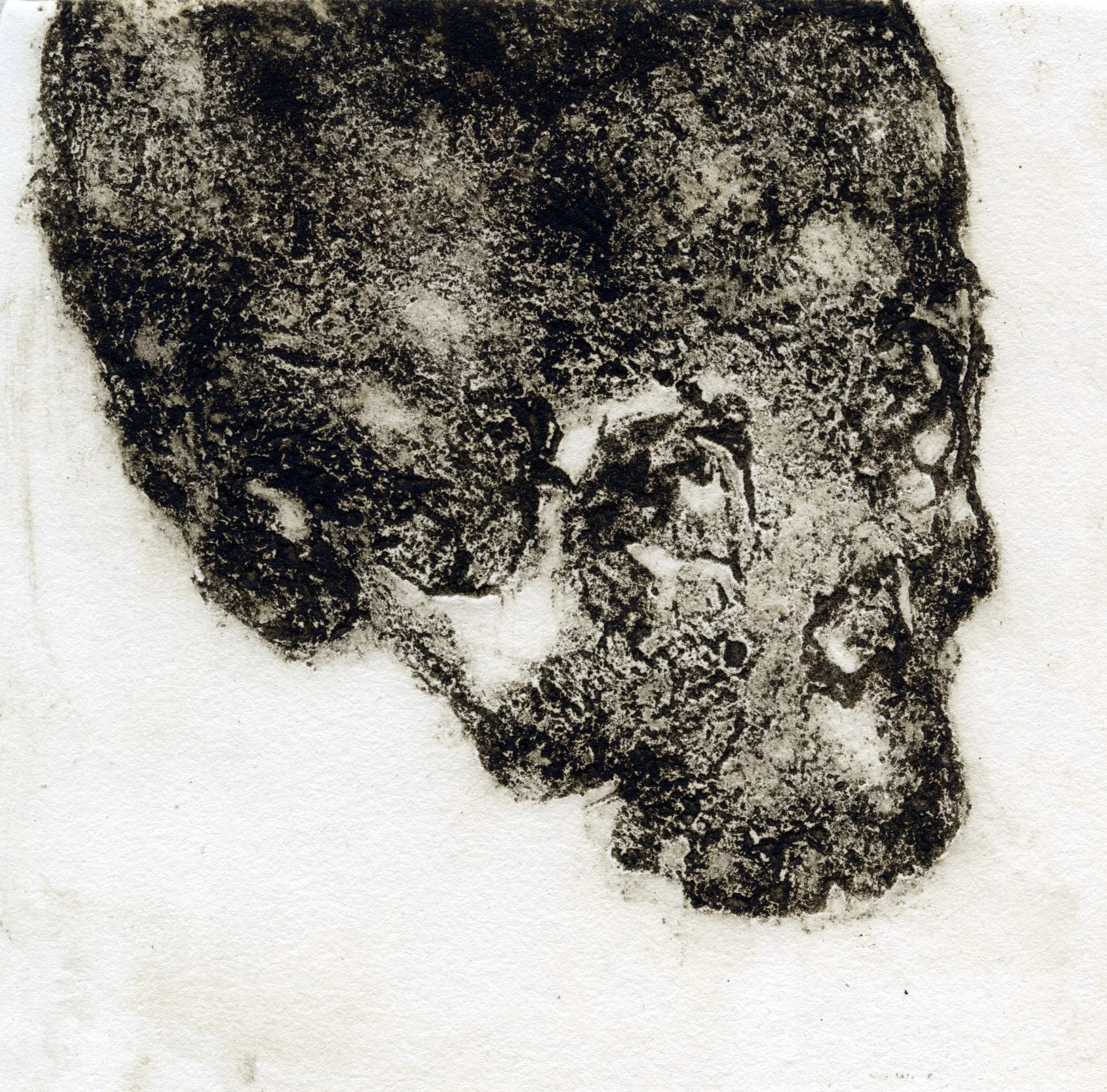 Skull, 2026, 15x15cm