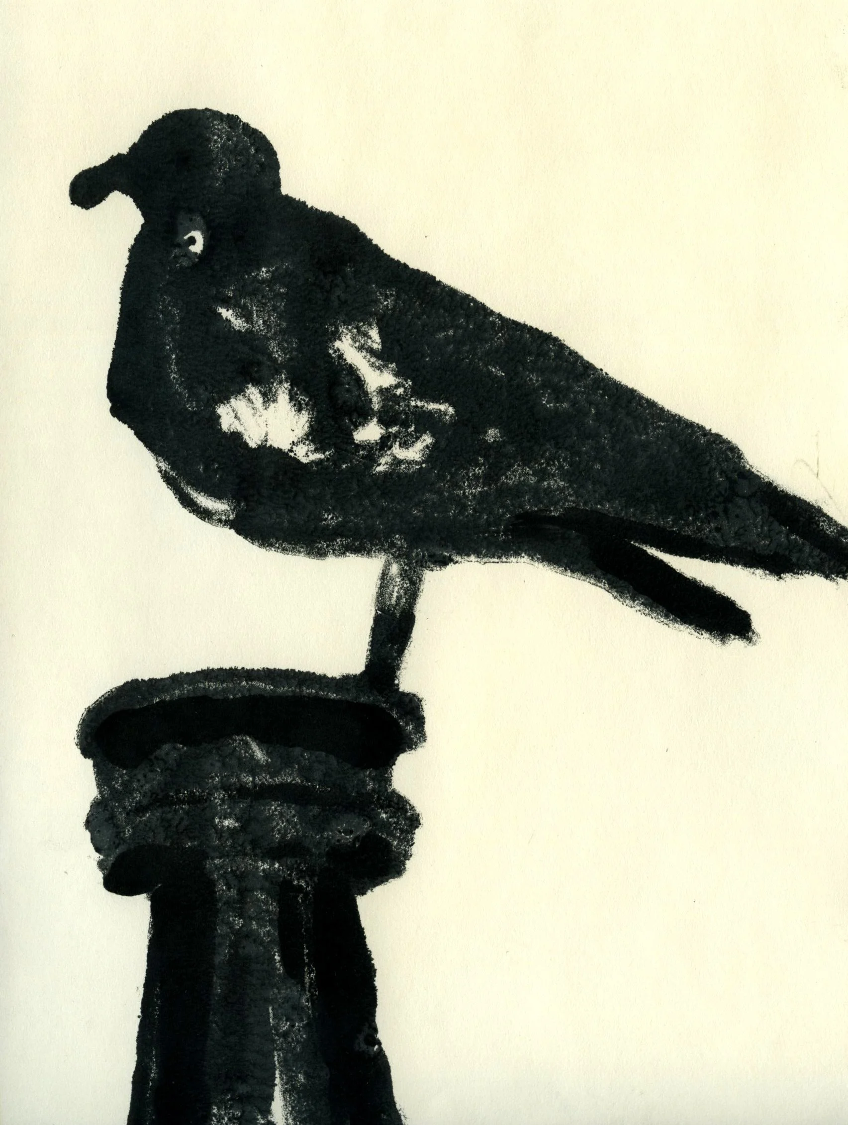 Gull, 2019, 15x21cm