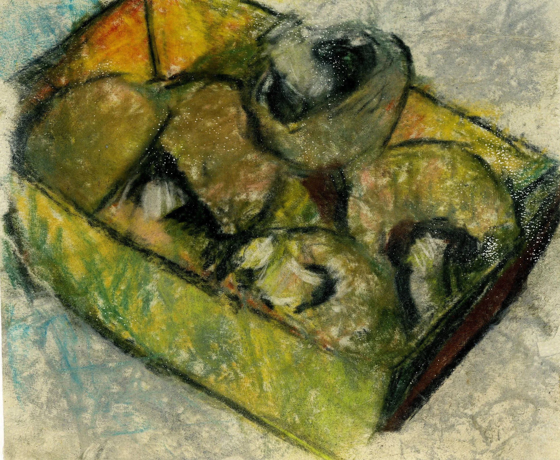 Box of Mushrooms, 2026, 21x15cm