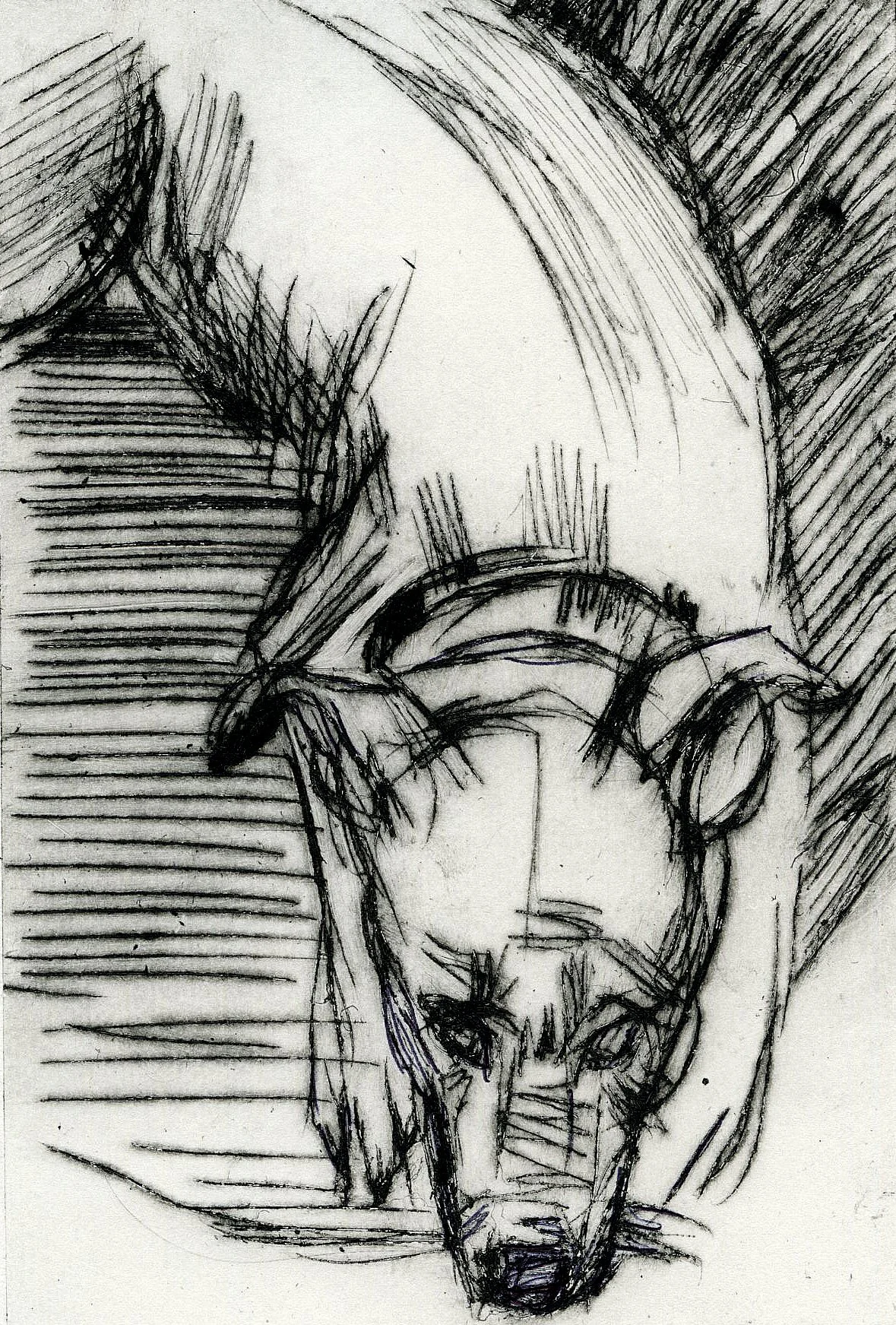 Bertie, 2022, 15x21cm