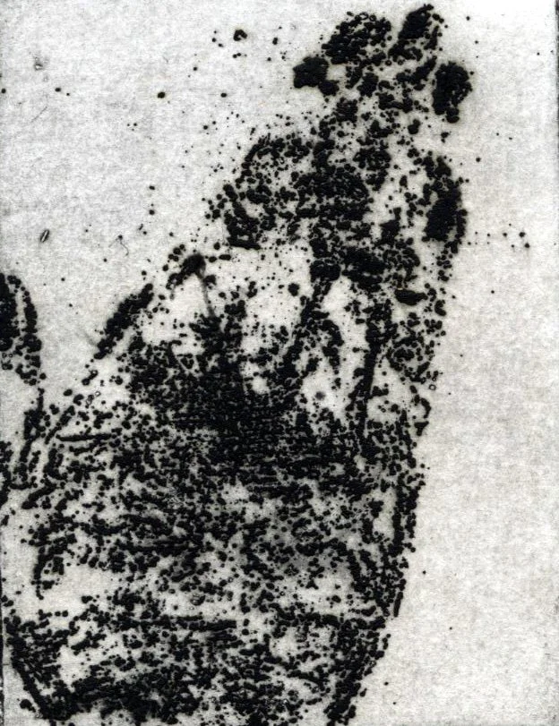 img393.jpg