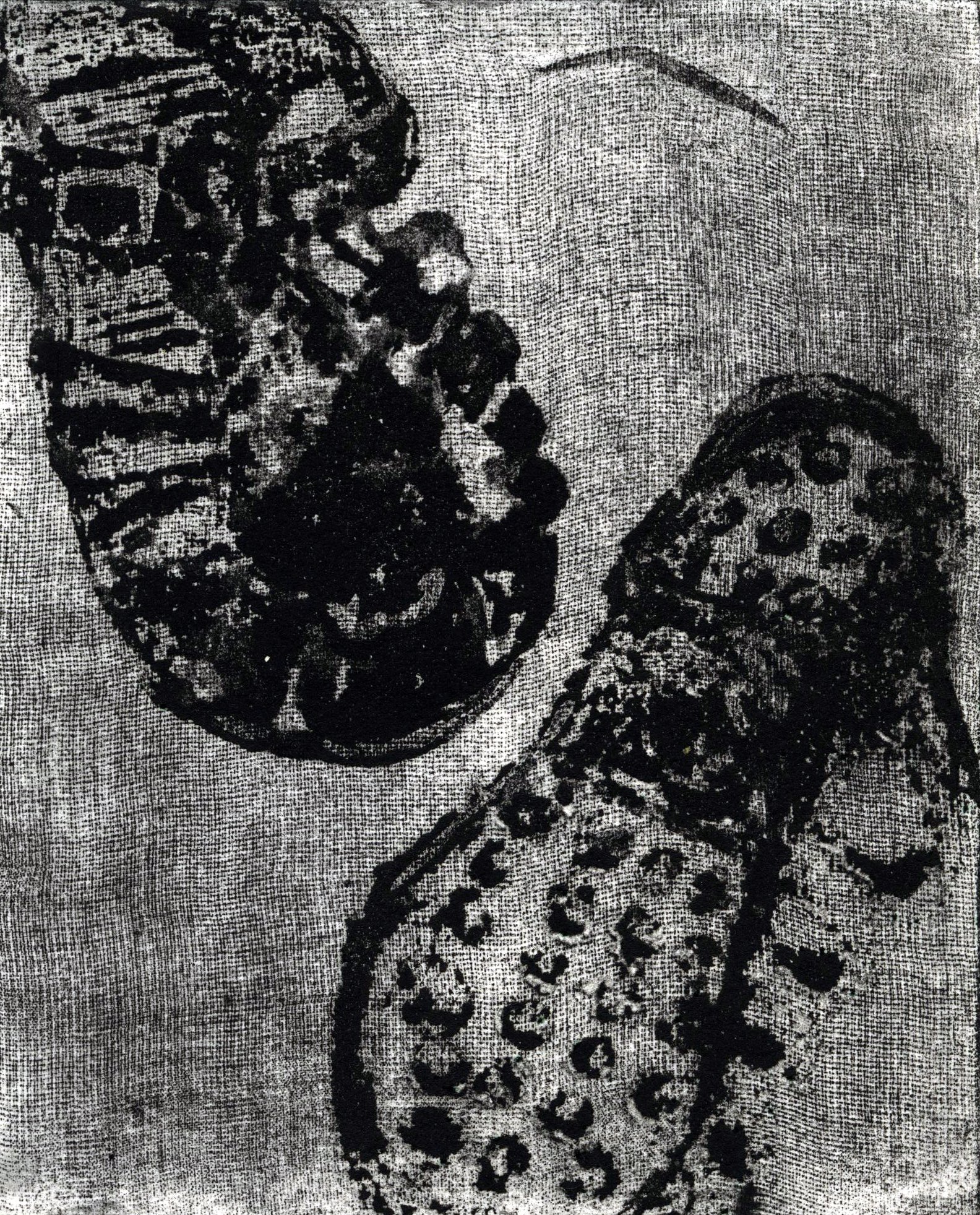 img378.jpg