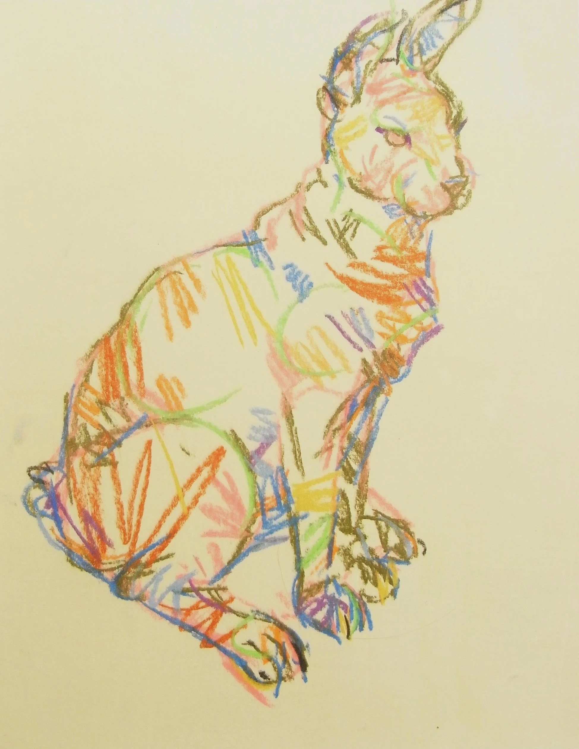 Hare, 2026, 30x40cm