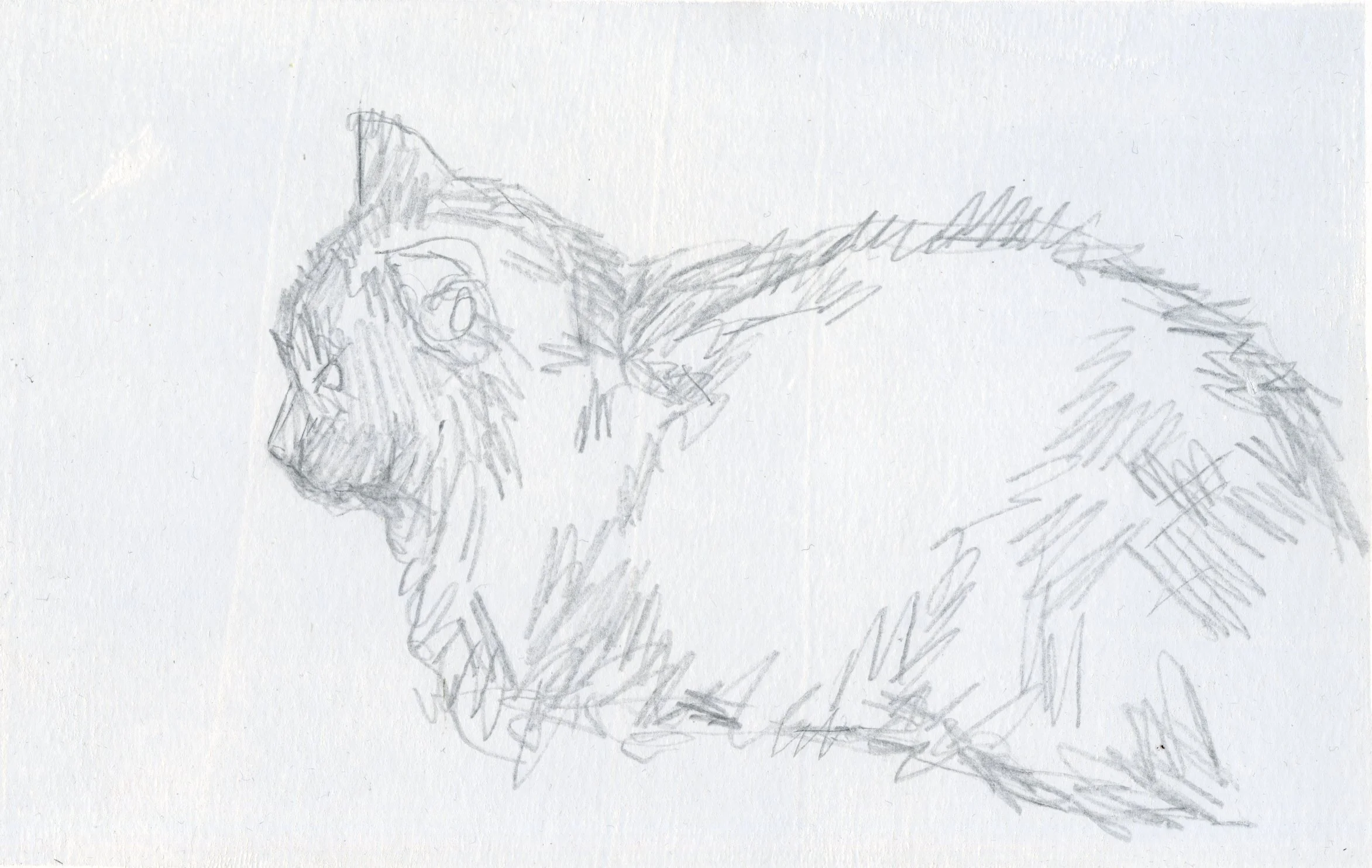 Ava, 2024, 21x15cm