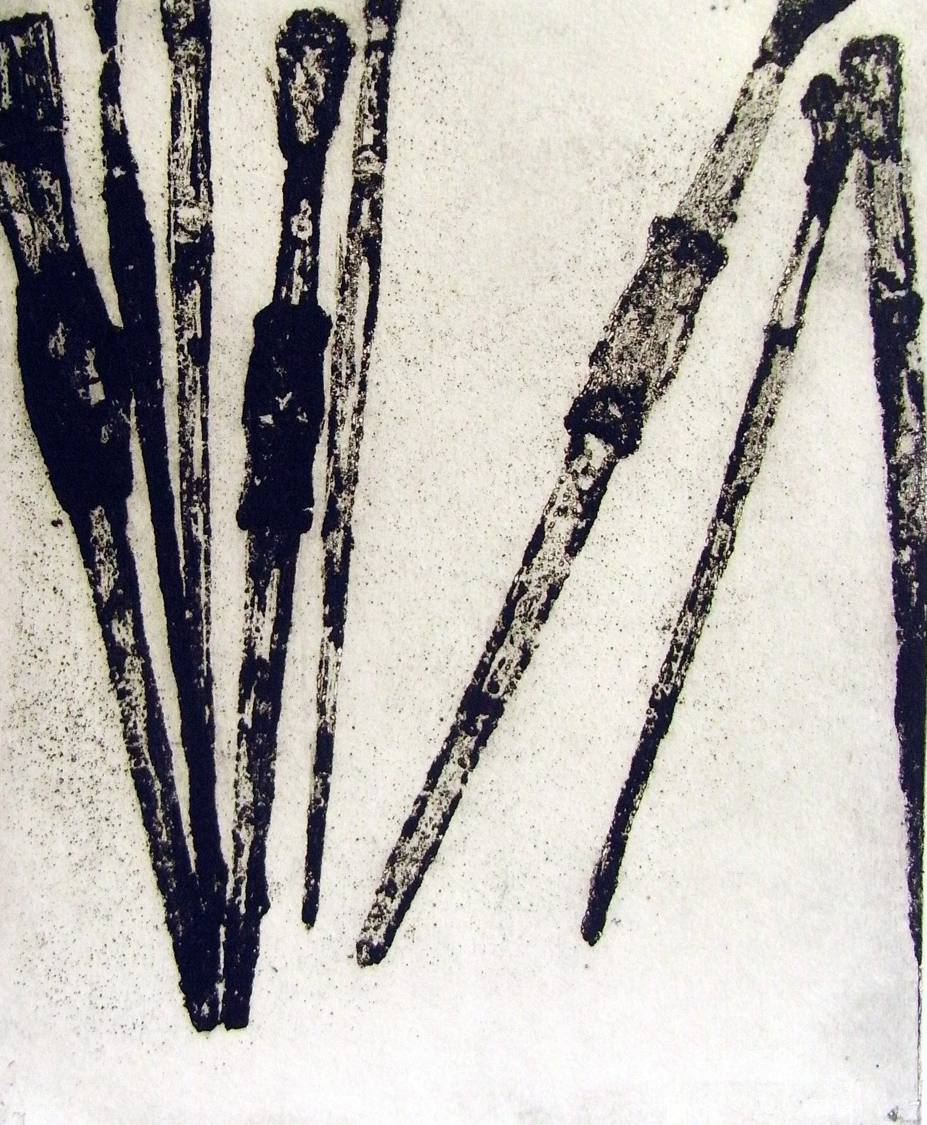 RIMG0476a.jpg