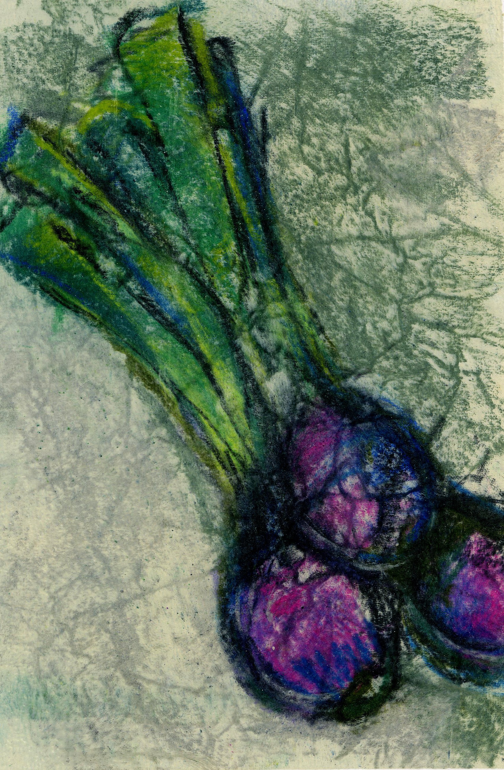 Onions, 2026, 15x21cm