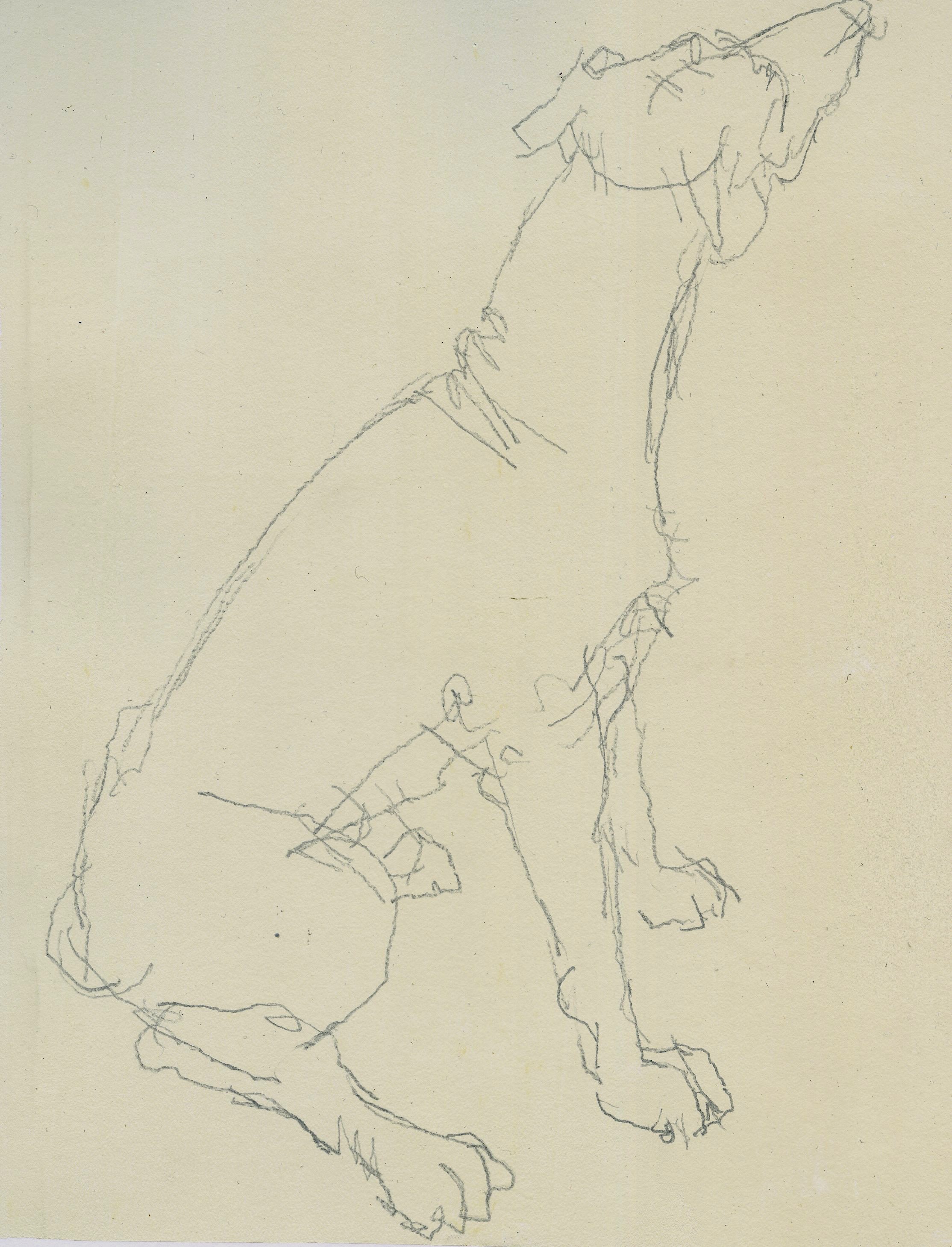 Dog Sitting, 2024, 15x21cm