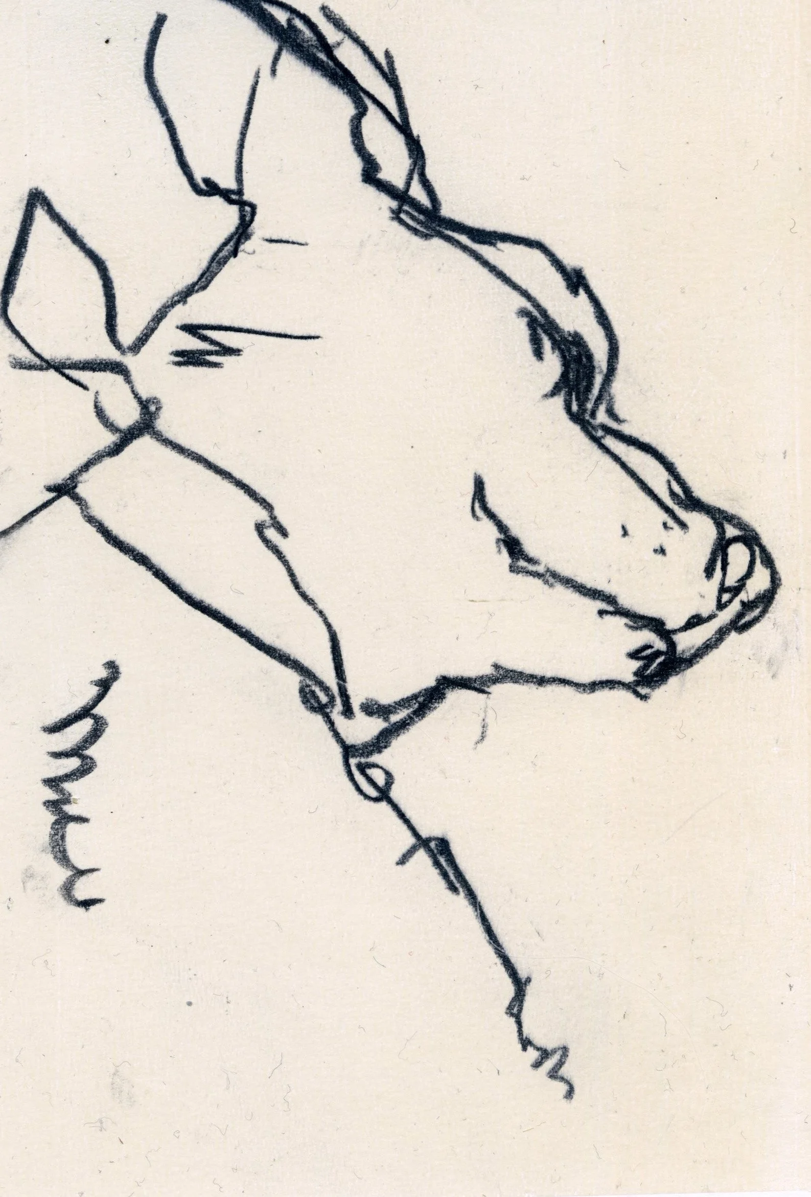 Charlie, 2024, 15x21cm