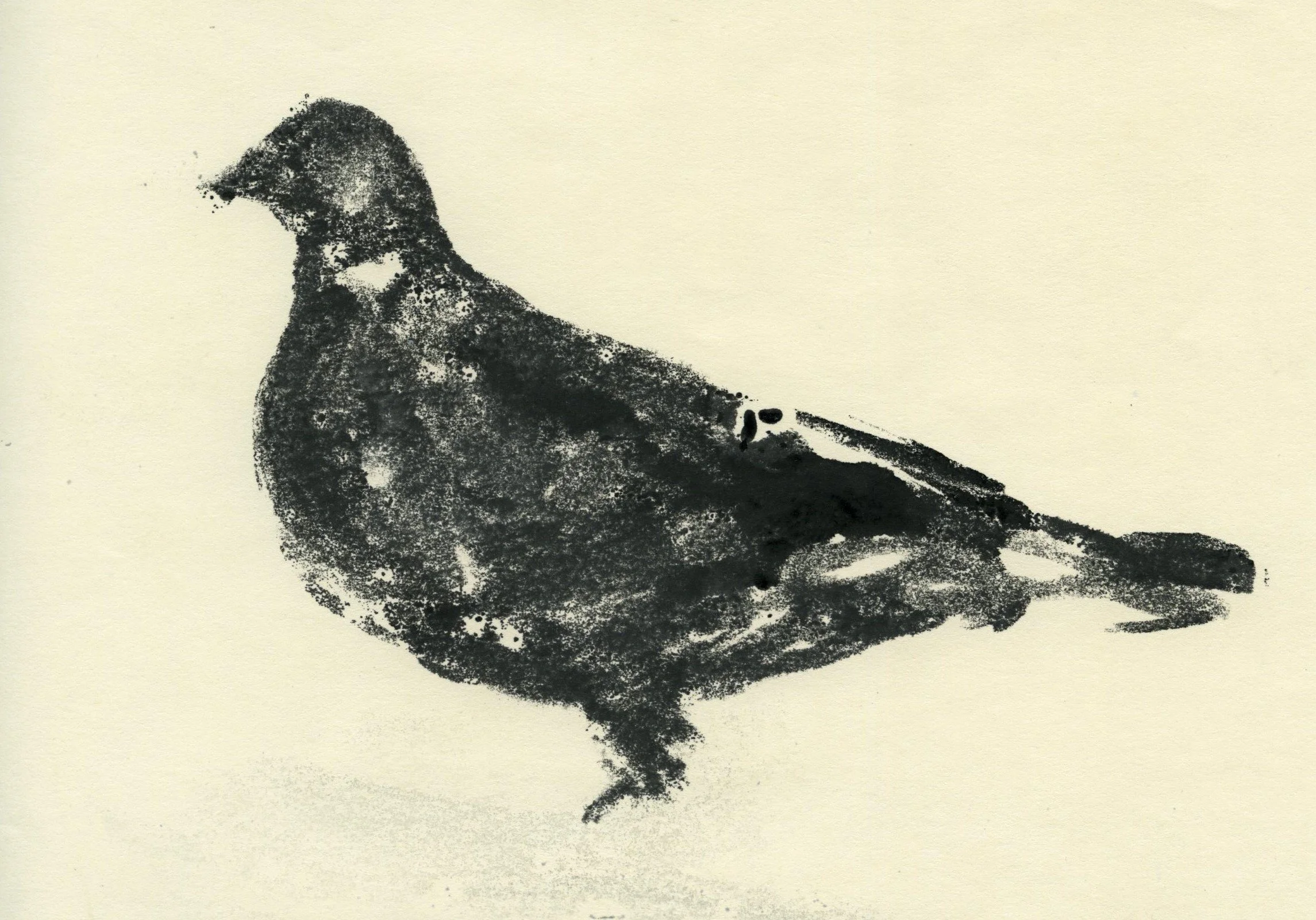 Pigeon, 2019, 21x15cm