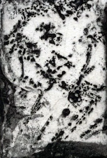 img389.jpg