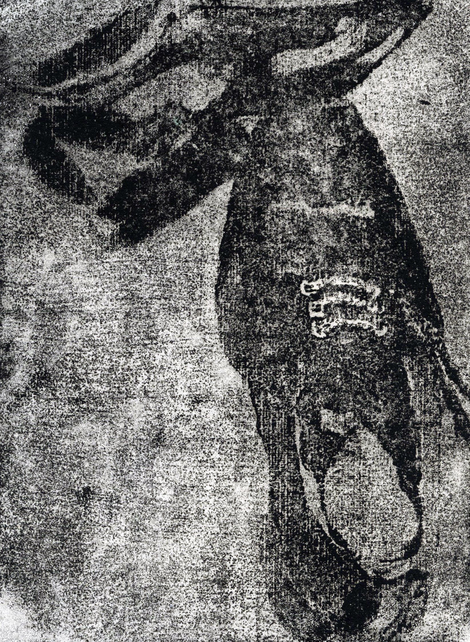 img369.jpg