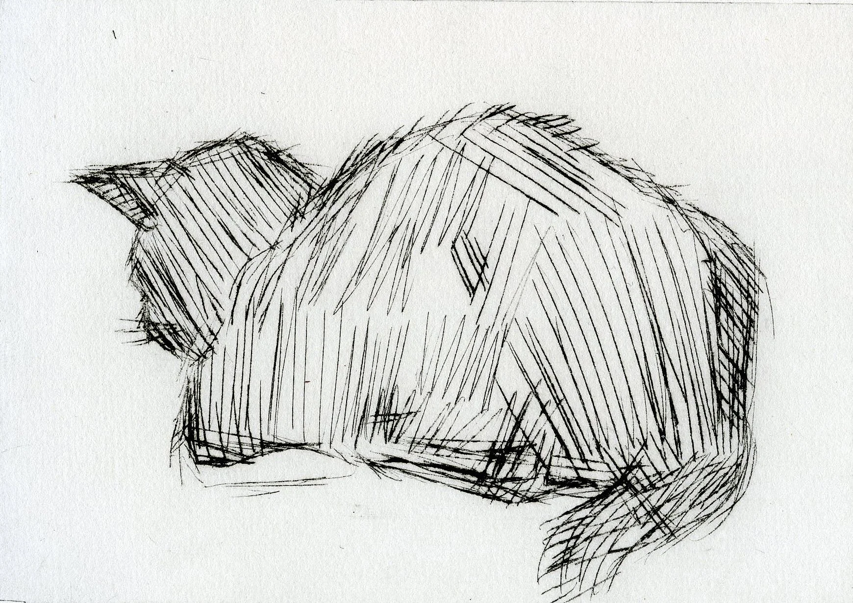 Cat Study, 2022, 15x10cm