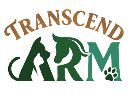 Transcend ARM