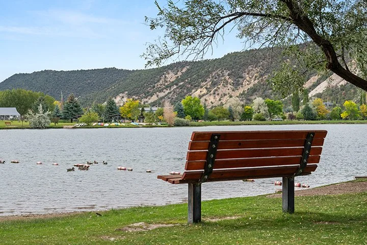 106-353GooseLn_260921106.jpg