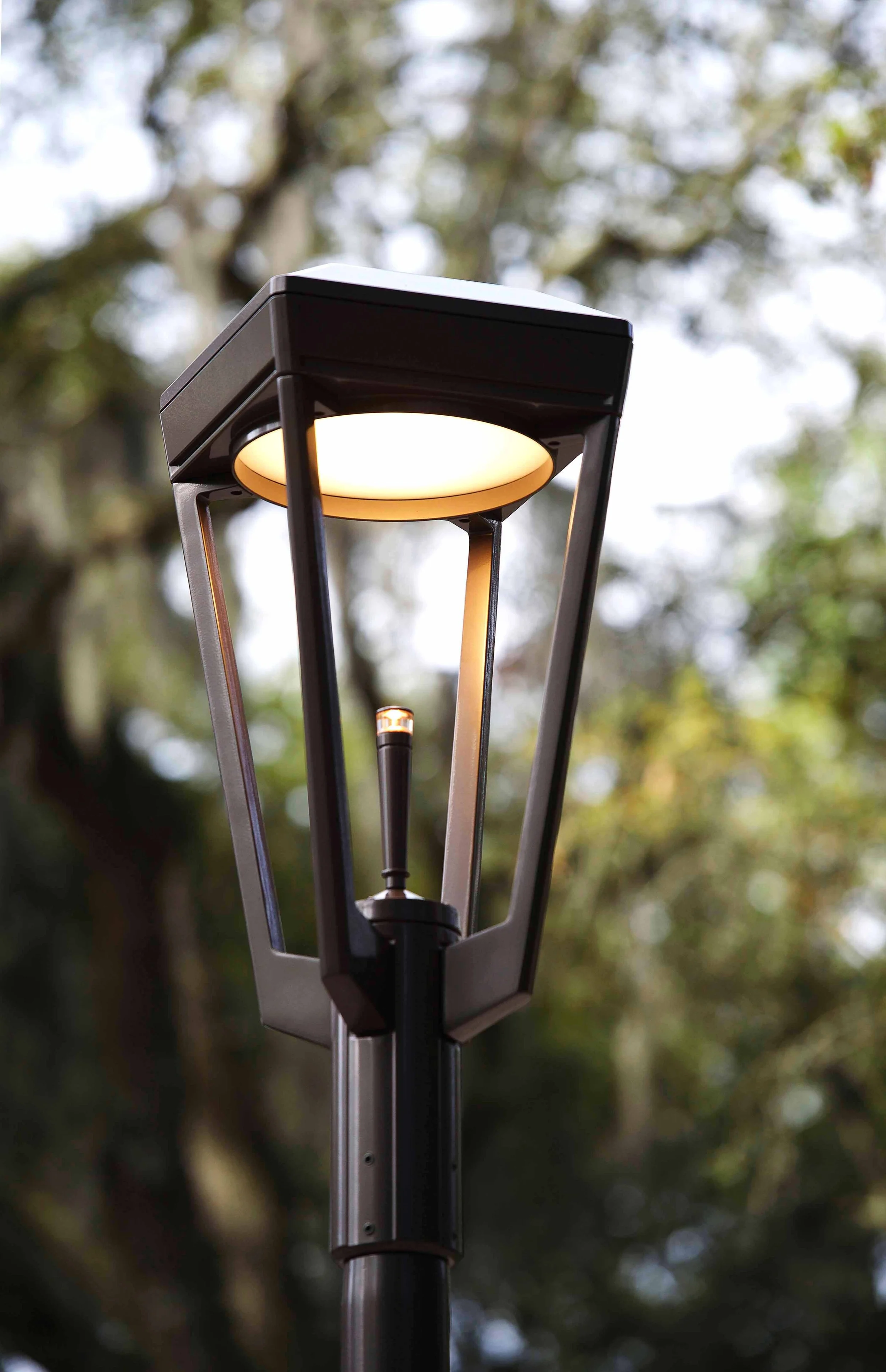 Ashbery_AreaLight-46_original.jpg