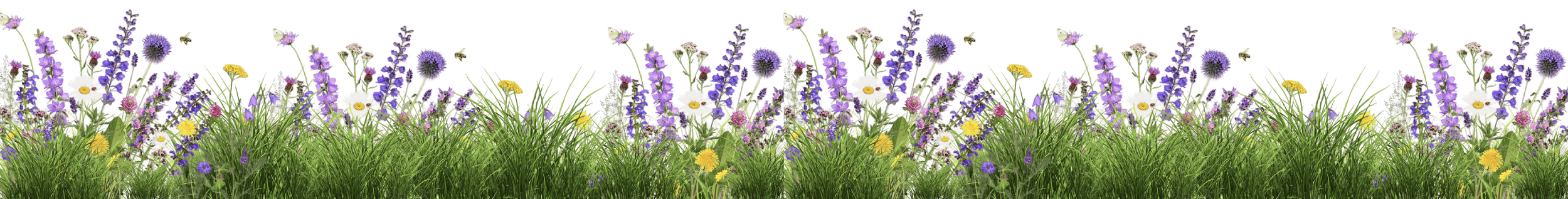 A colorful border of wildflowers including purple lavender, white daisies, yellow dandelions, and various green grasses, set against a black background.