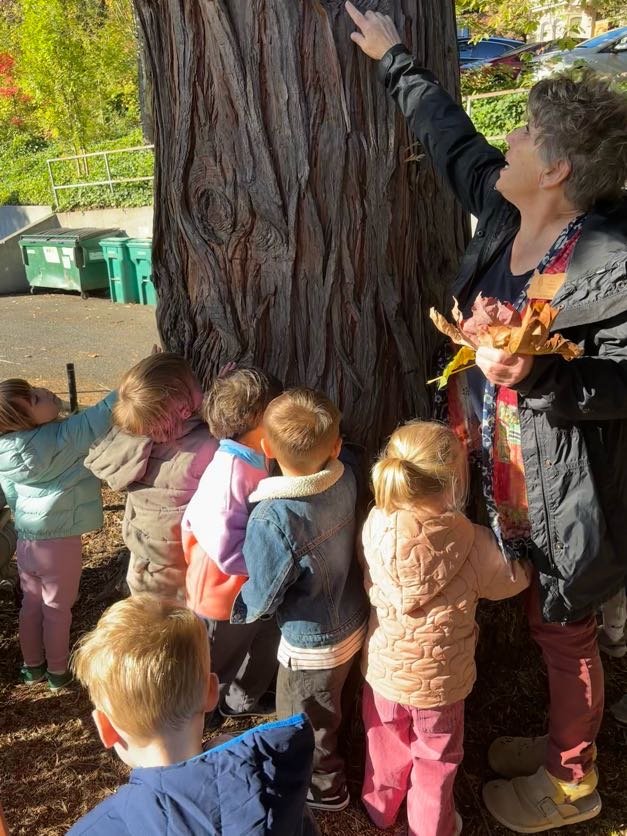 A woman with gray hair, holding leaves, points to a large tree trunk while a group of young children gather around and look at the tree in an outdoor setting on a sunny day.