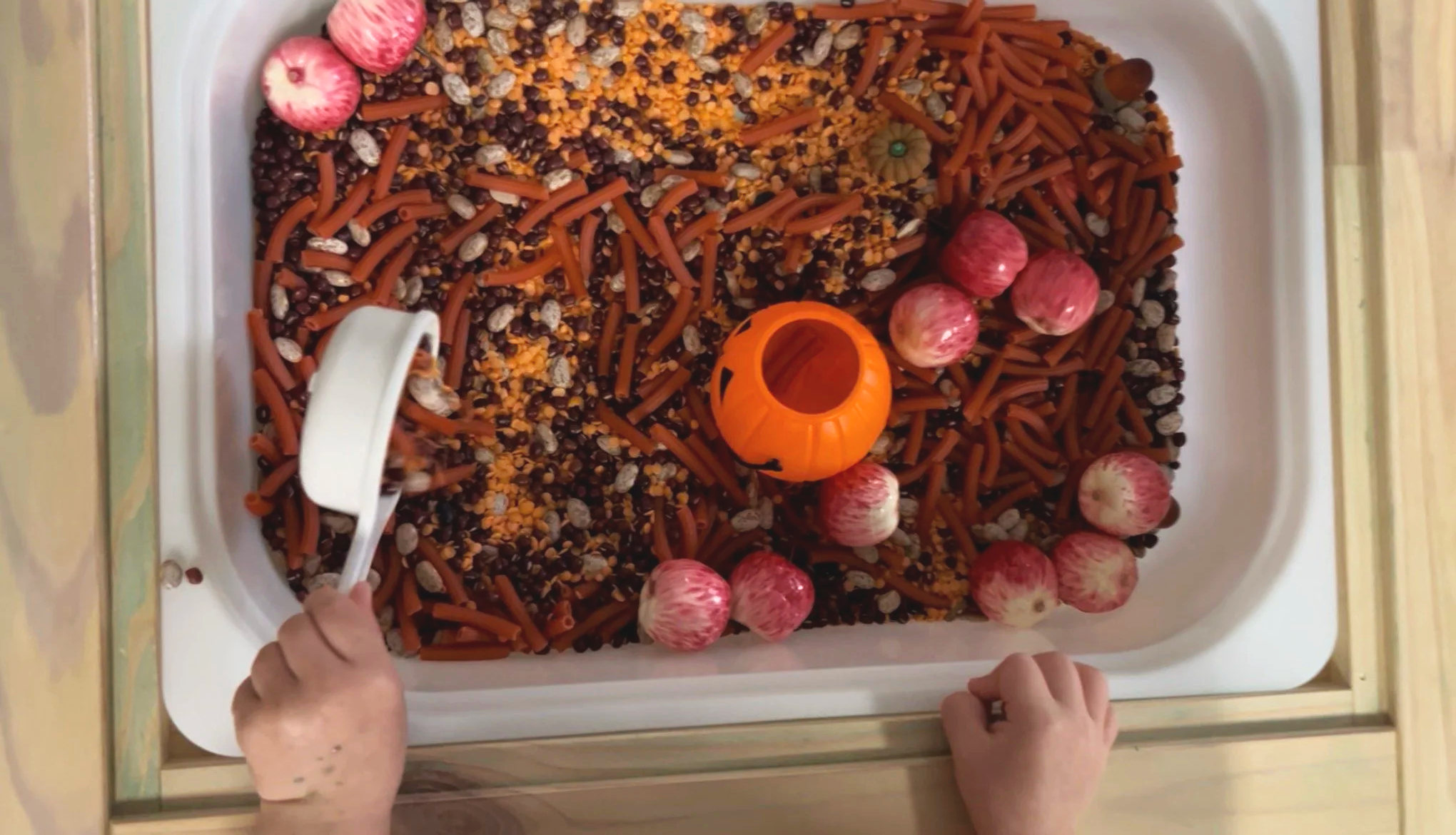 A child's hands holding a plastic toy shovel scoops dry dog food from a large container. The container is filled with various types of dry dog food, and there are six red and white apples placed on top of the food.