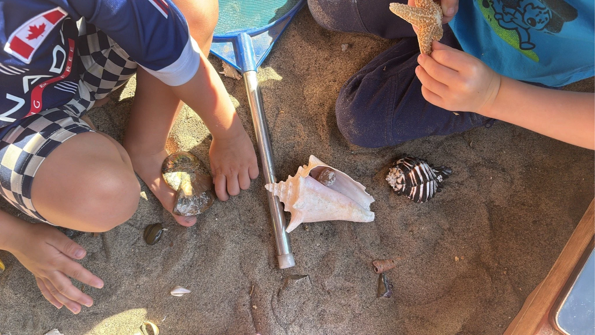 Two children sitting in the sandbox at Youngset Preschool, examining seashells and a starfish. One child is wearing a blue shirt with a cartoon character, the other is wearing a navy shirt with checkered shorts.