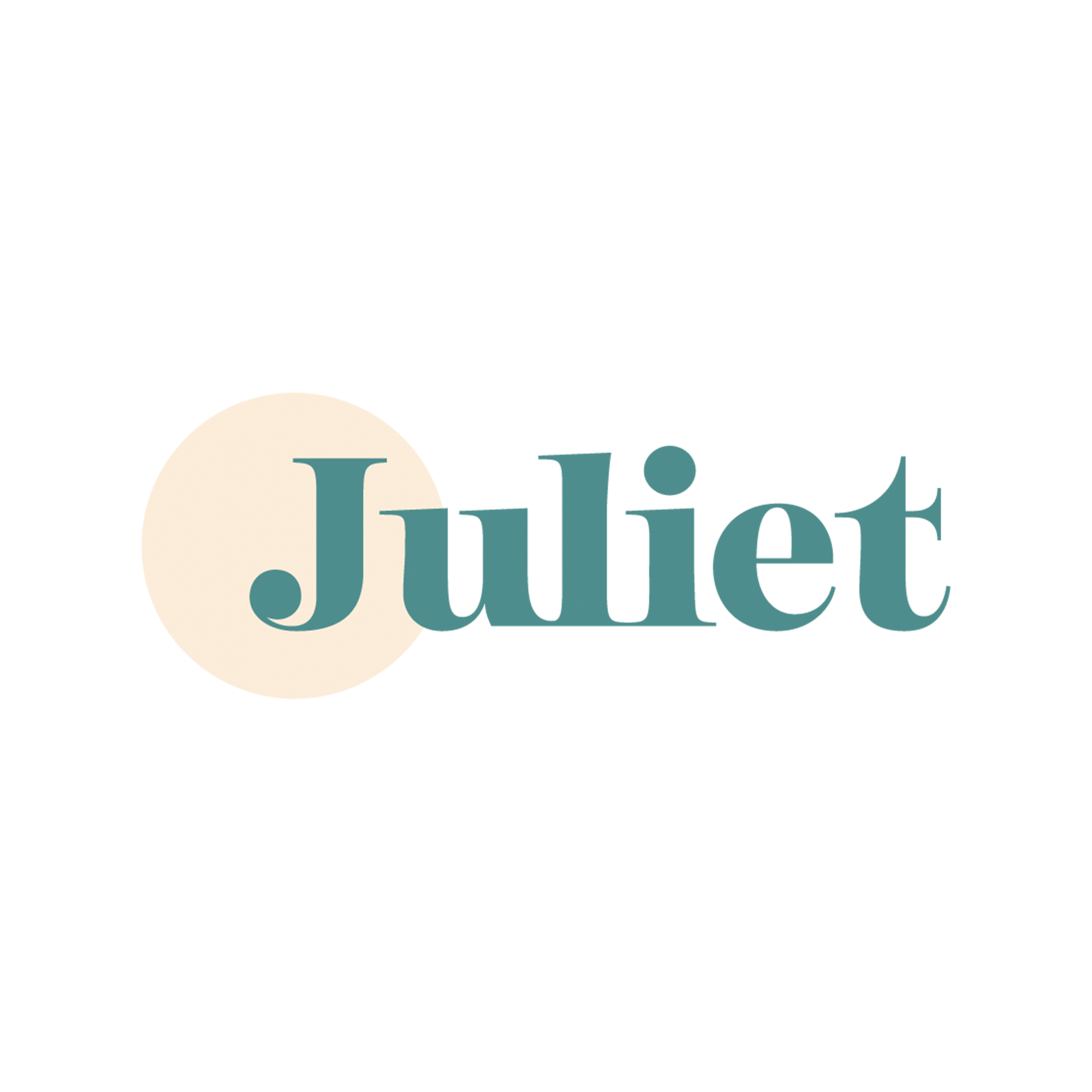 PalindromeStudio_BrandingExamples_Juliet.png
