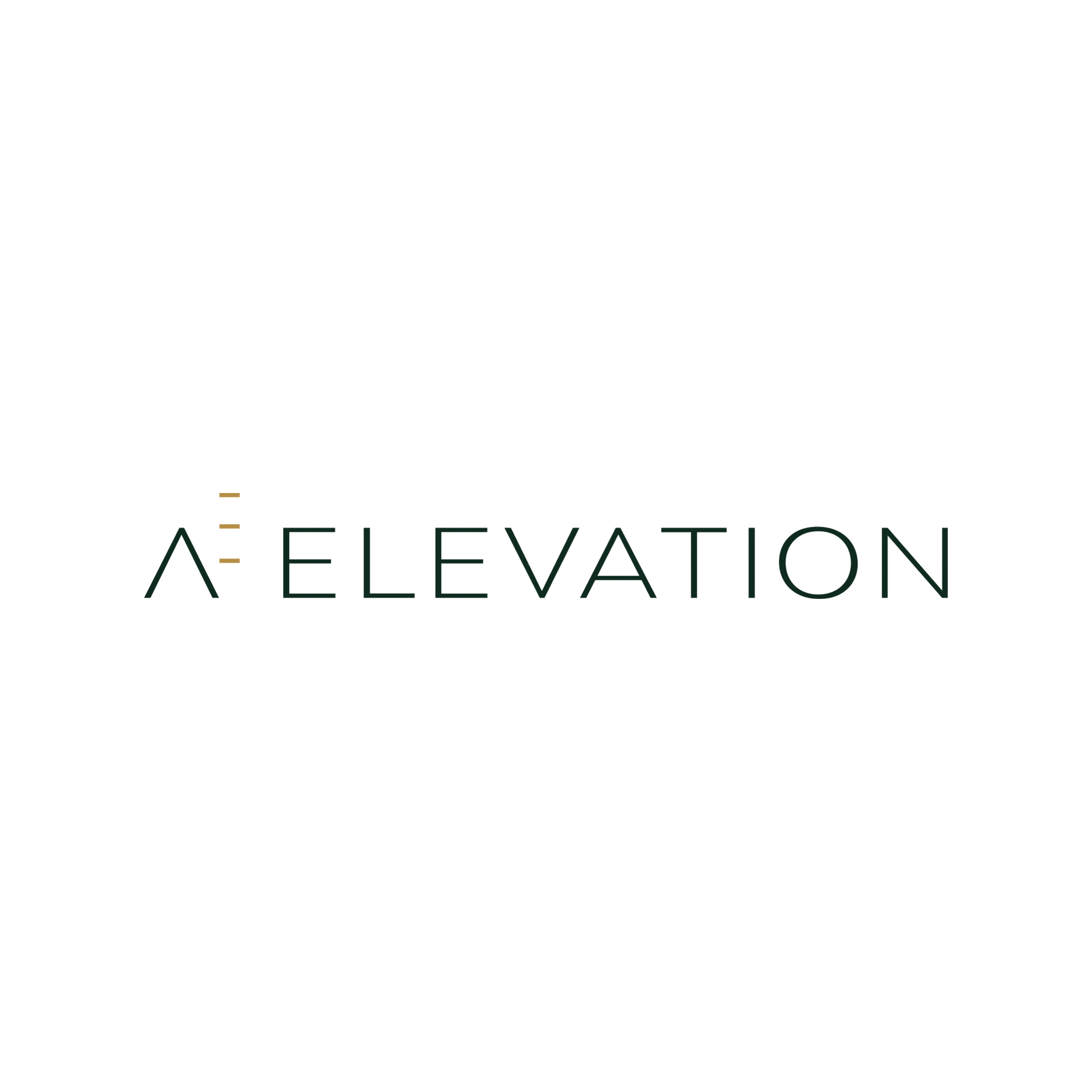 PalindromeStudio_BrandingExamples_Elevation.png