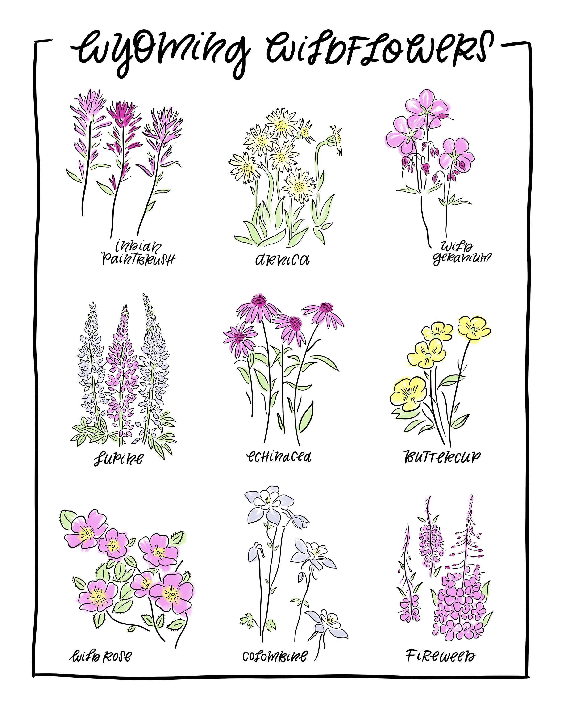 WyomingWildflowers_Print.png