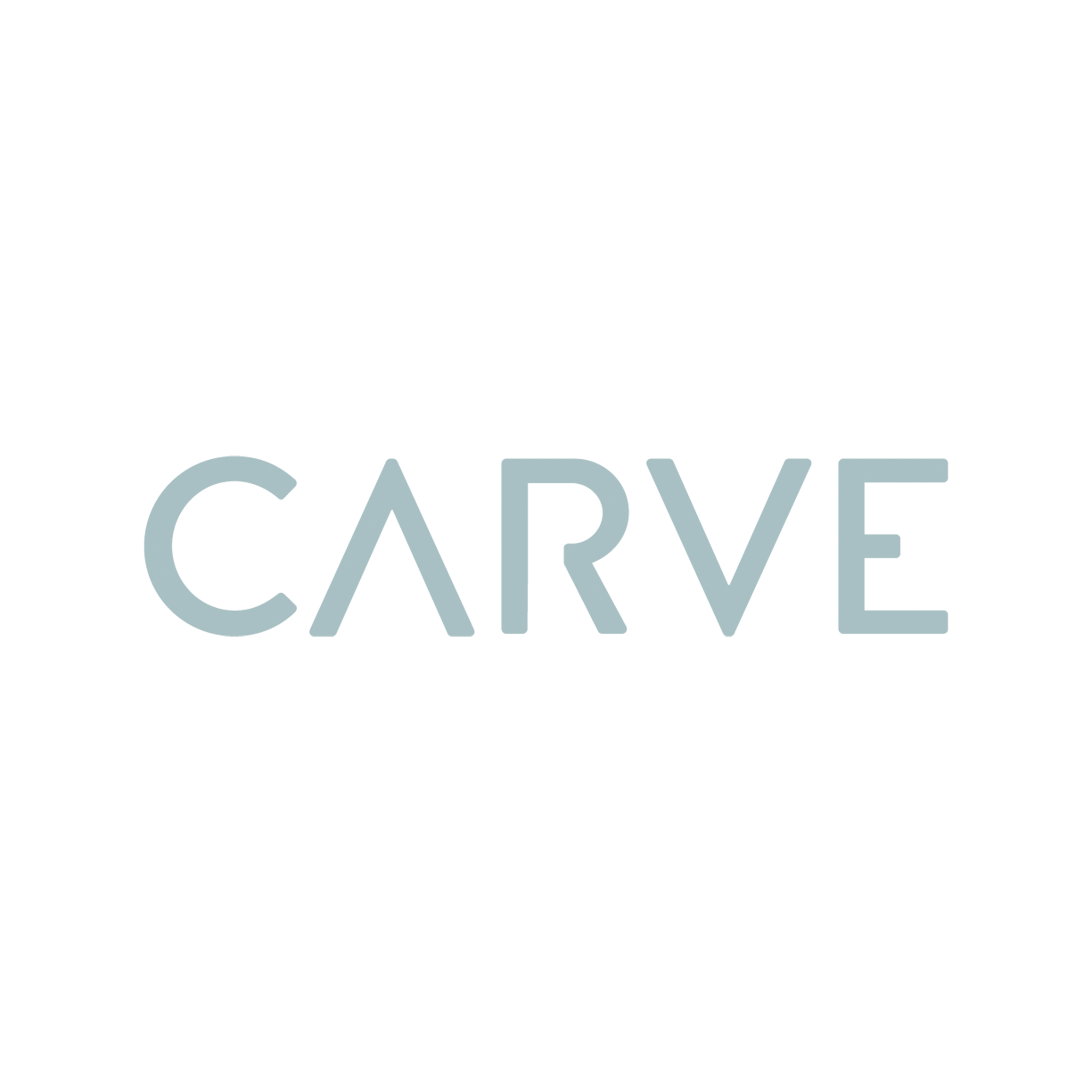 PalindromeStudio_BrandingExamples_Carve.png