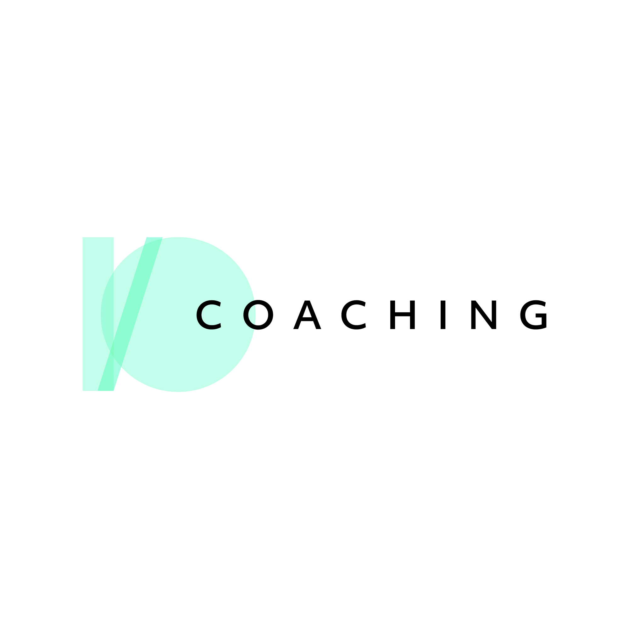 PalindromeStudio_BrandingExamples_IO_Coaching.png