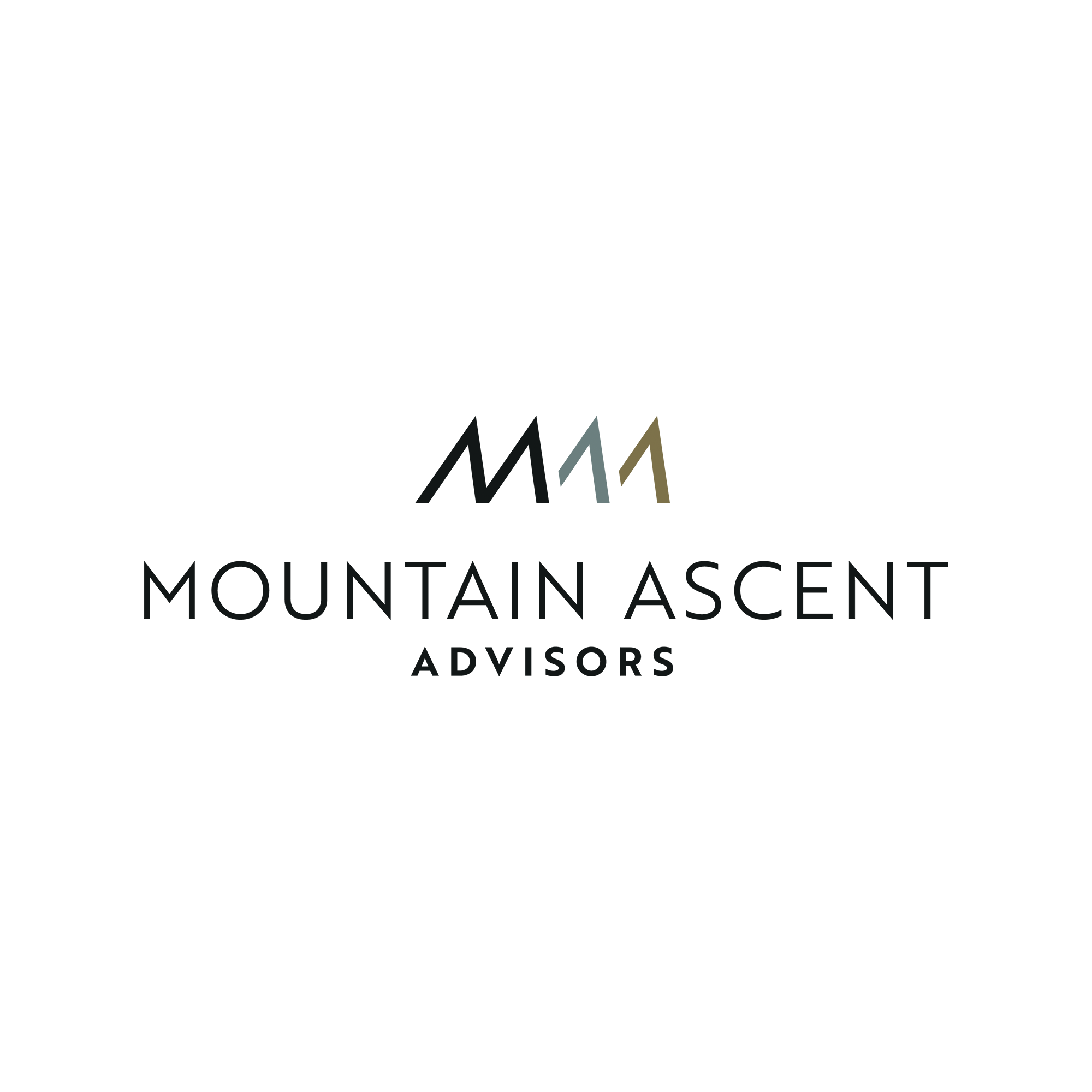 PalindromeStudio_BrandingExamples_MAA.png