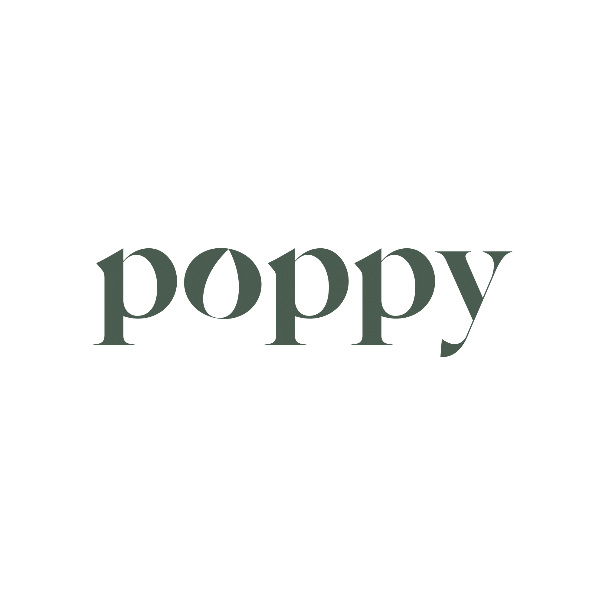 PalindromeStudio_BrandingExamples_Poppy.png