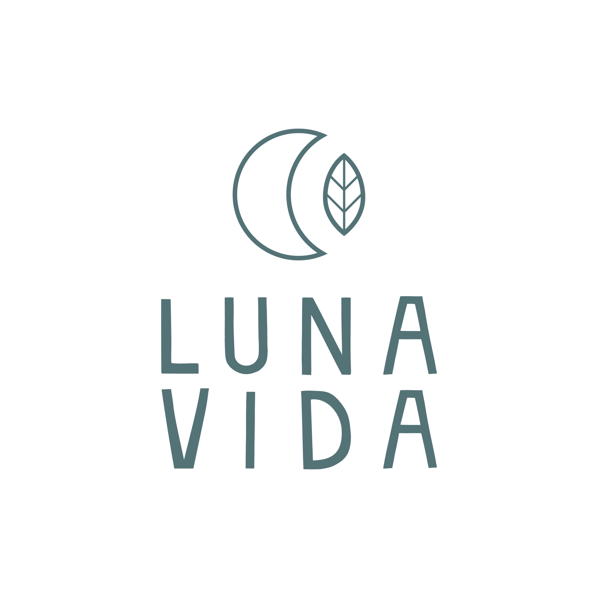 PalindromeStudio_BrandingExamples_LunaVida.png