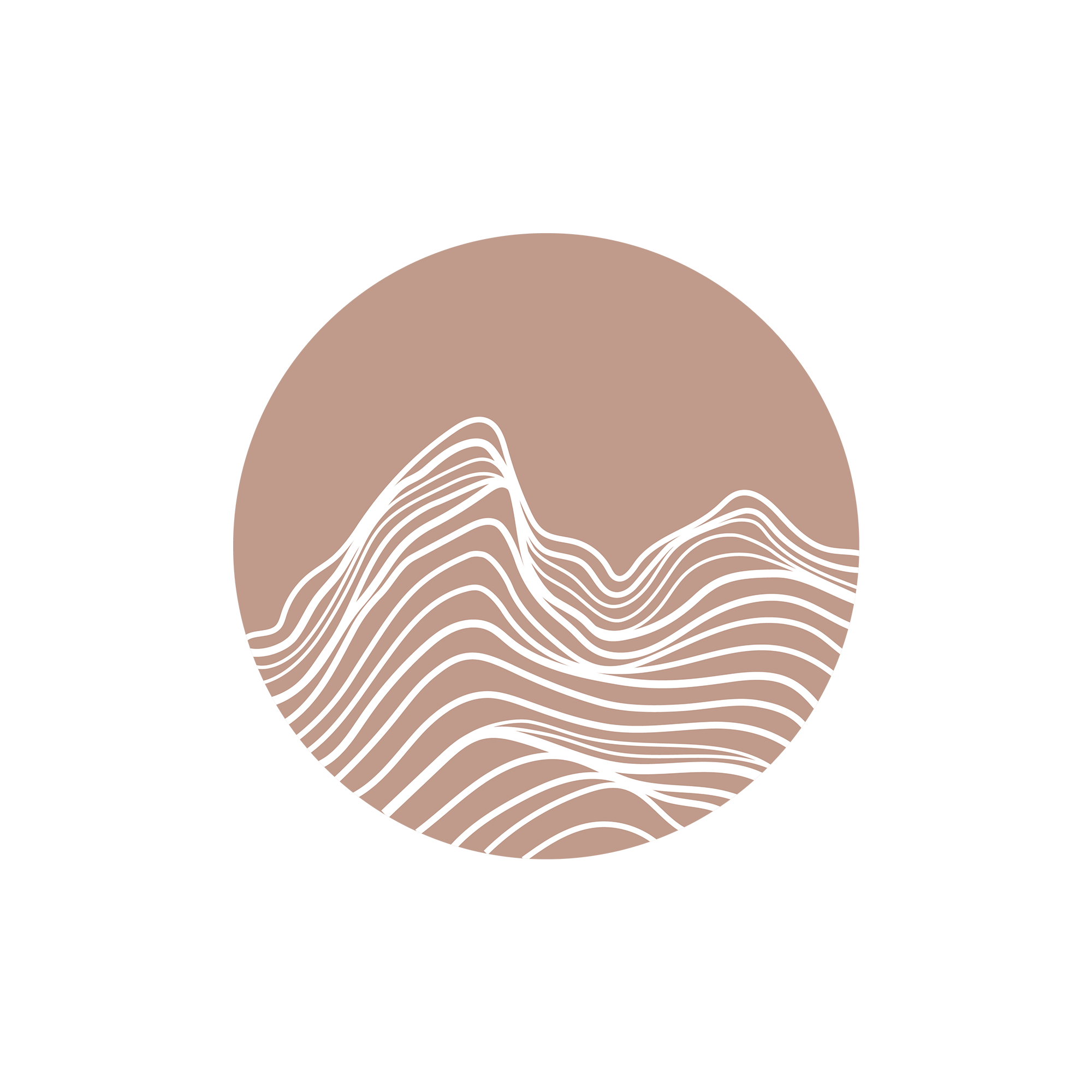 PalindromeStudio_BrandingExamples_Inversion.png