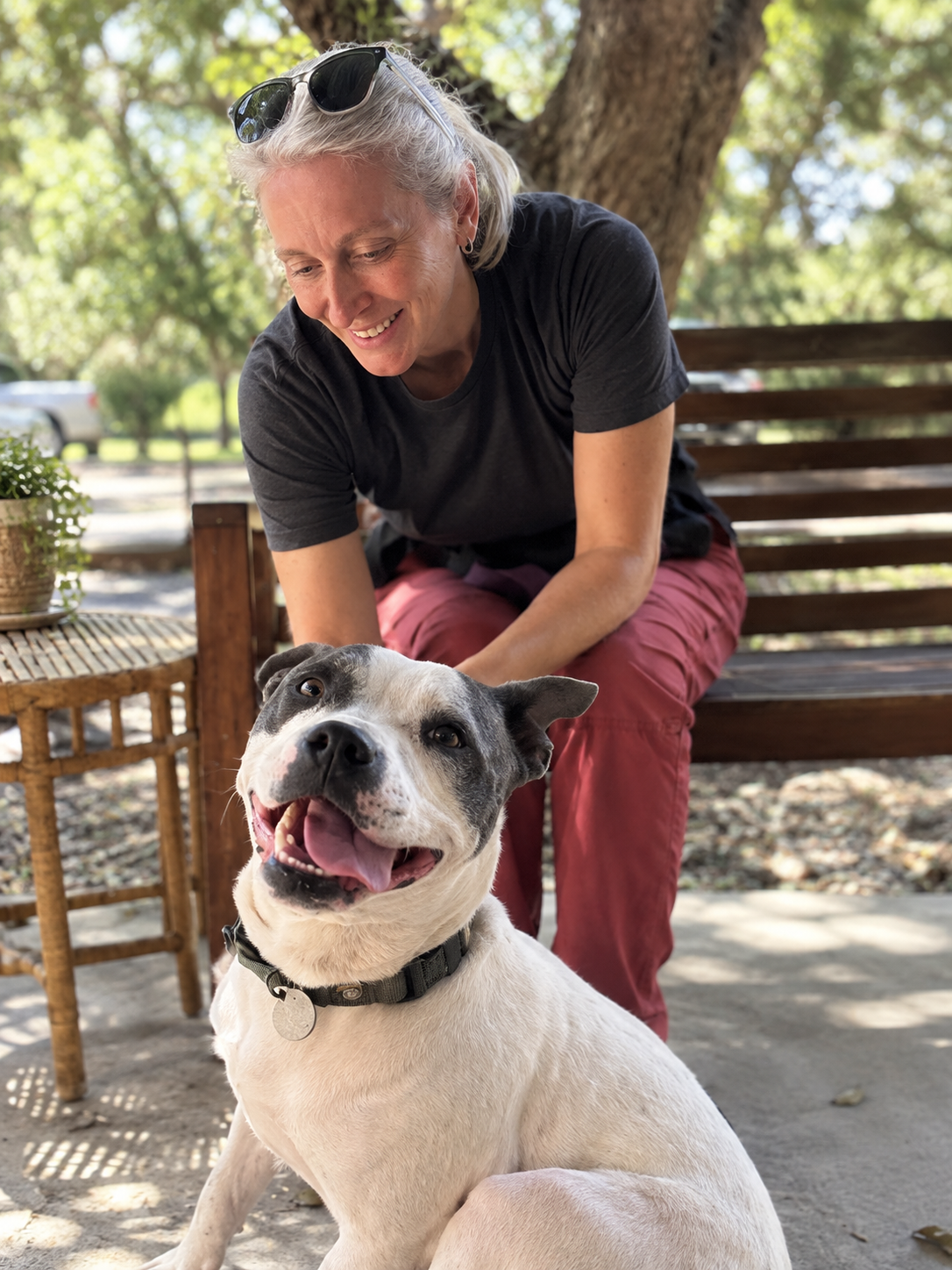 Complimentary Meet & Greet + Animal Profile - 30 minutes