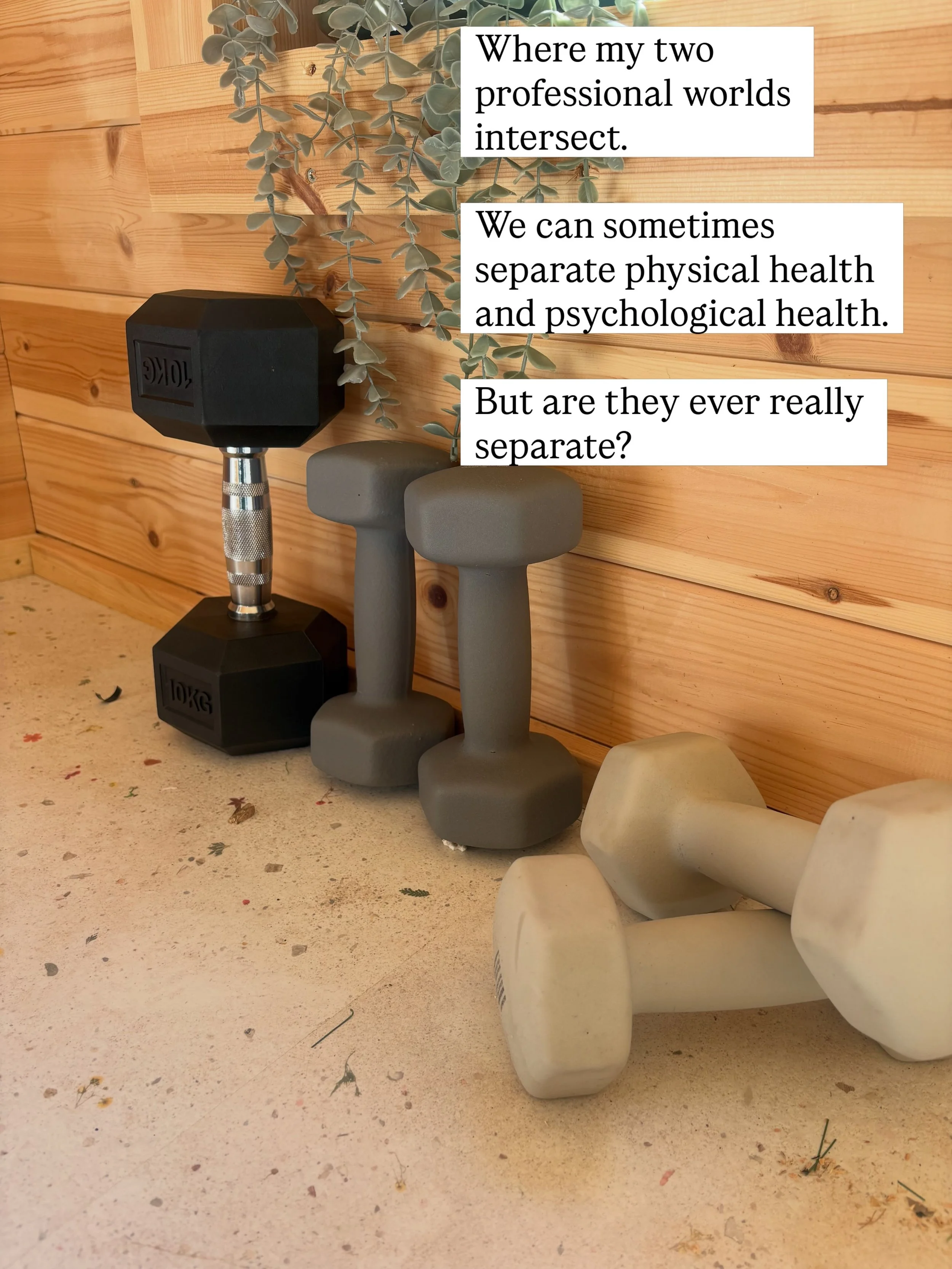 A little intersection of my two professional worlds.

I want to be clear that my work in counselling and psychotherapy and my work in strength, nutrition and behaviour change are two distinct professional roles, with their own boundaries and scope of