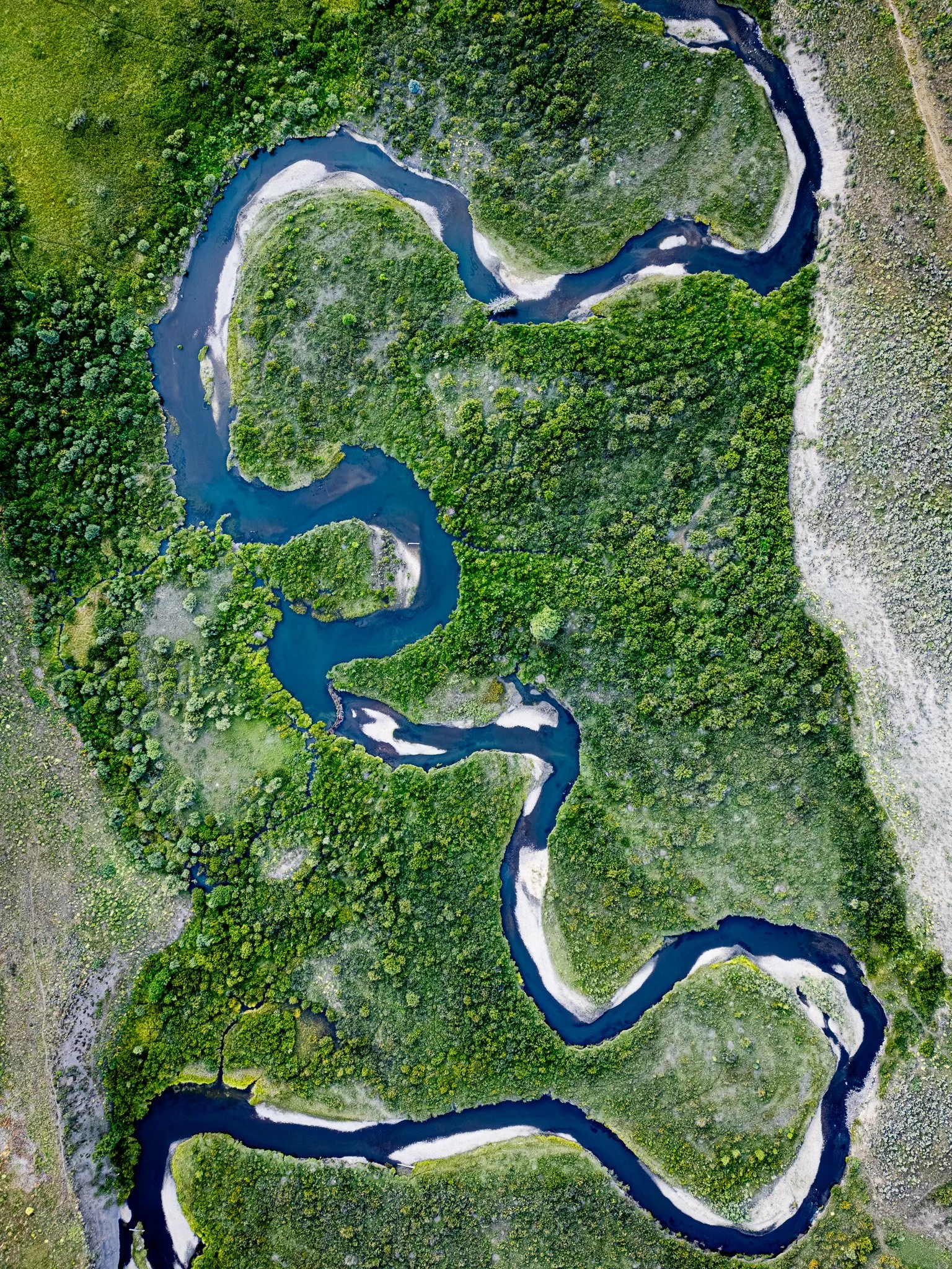 DJI_0554.jpg